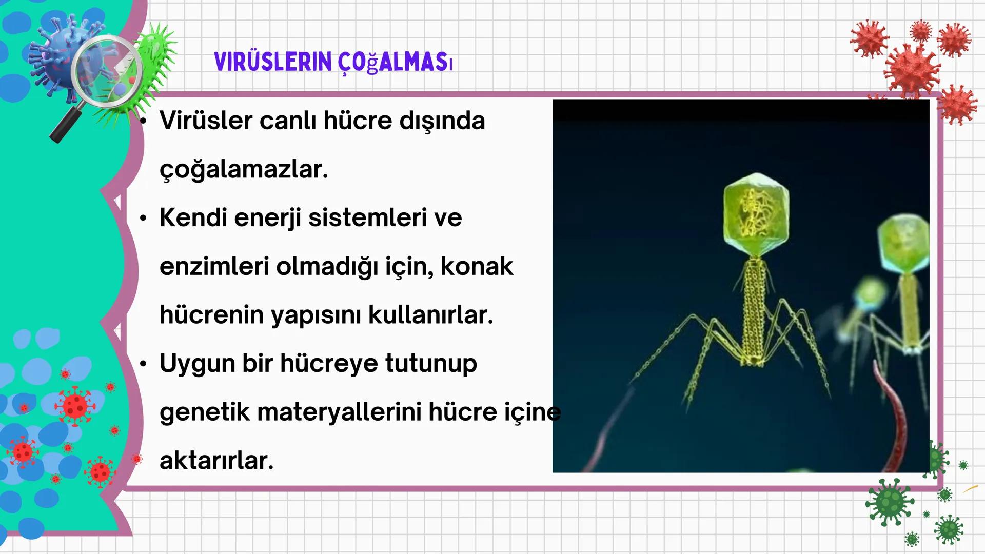 # VİRÜSLER # VIRÜSLER
+
* Latince "zehir" anlamına gelen virüslerin
canlı mı cansız mı olduğu tartışma
konusudur.
* Virüsler