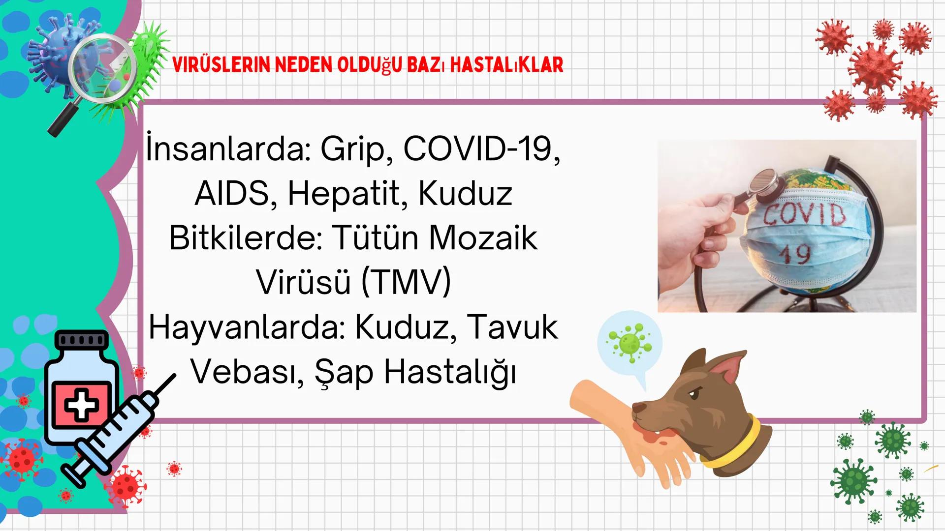 # VİRÜSLER # VIRÜSLER
+
* Latince "zehir" anlamına gelen virüslerin
canlı mı cansız mı olduğu tartışma
konusudur.
* Virüsler