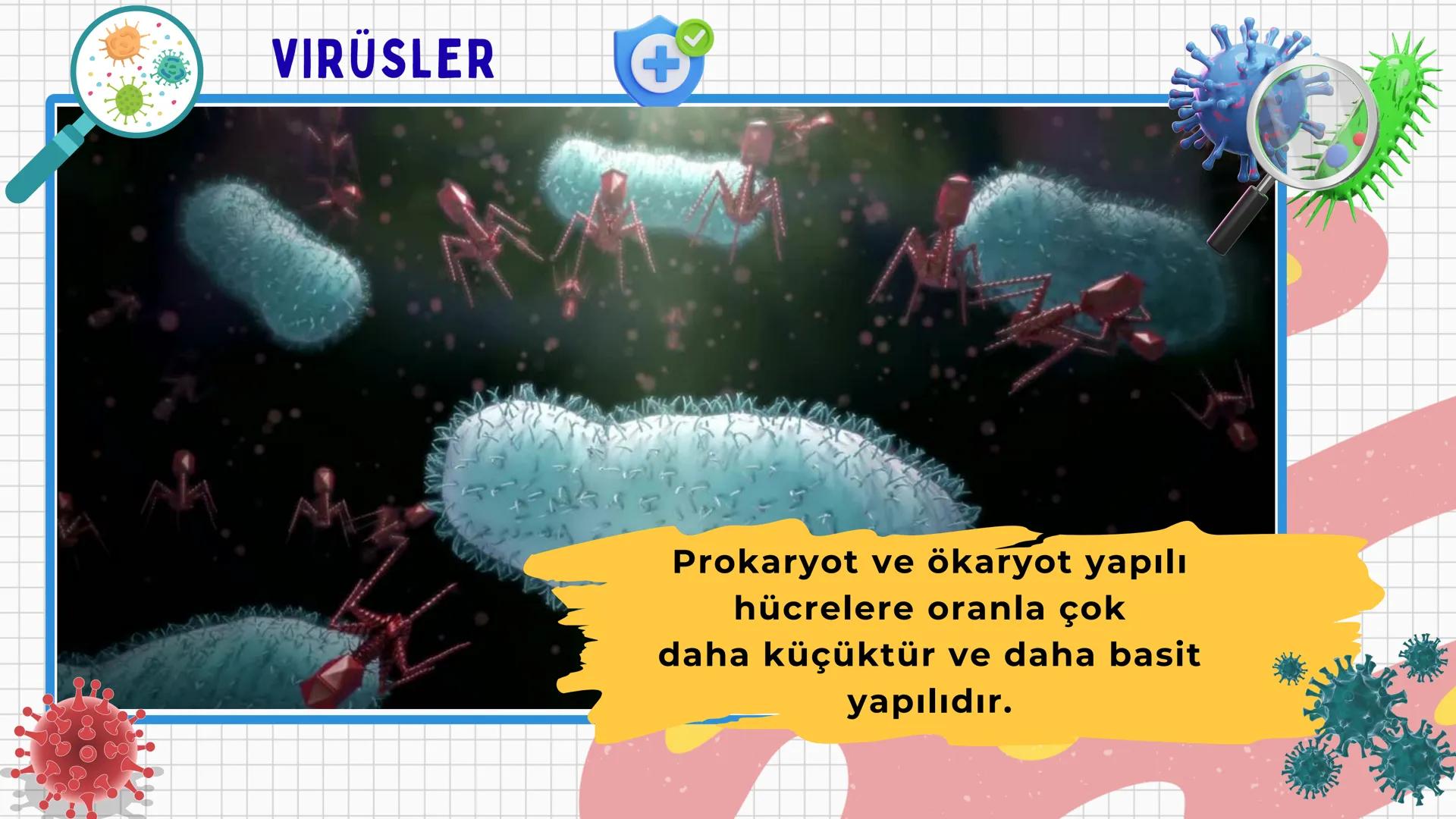 # VİRÜSLER # VIRÜSLER
+
* Latince "zehir" anlamına gelen virüslerin
canlı mı cansız mı olduğu tartışma
konusudur.
* Virüsler