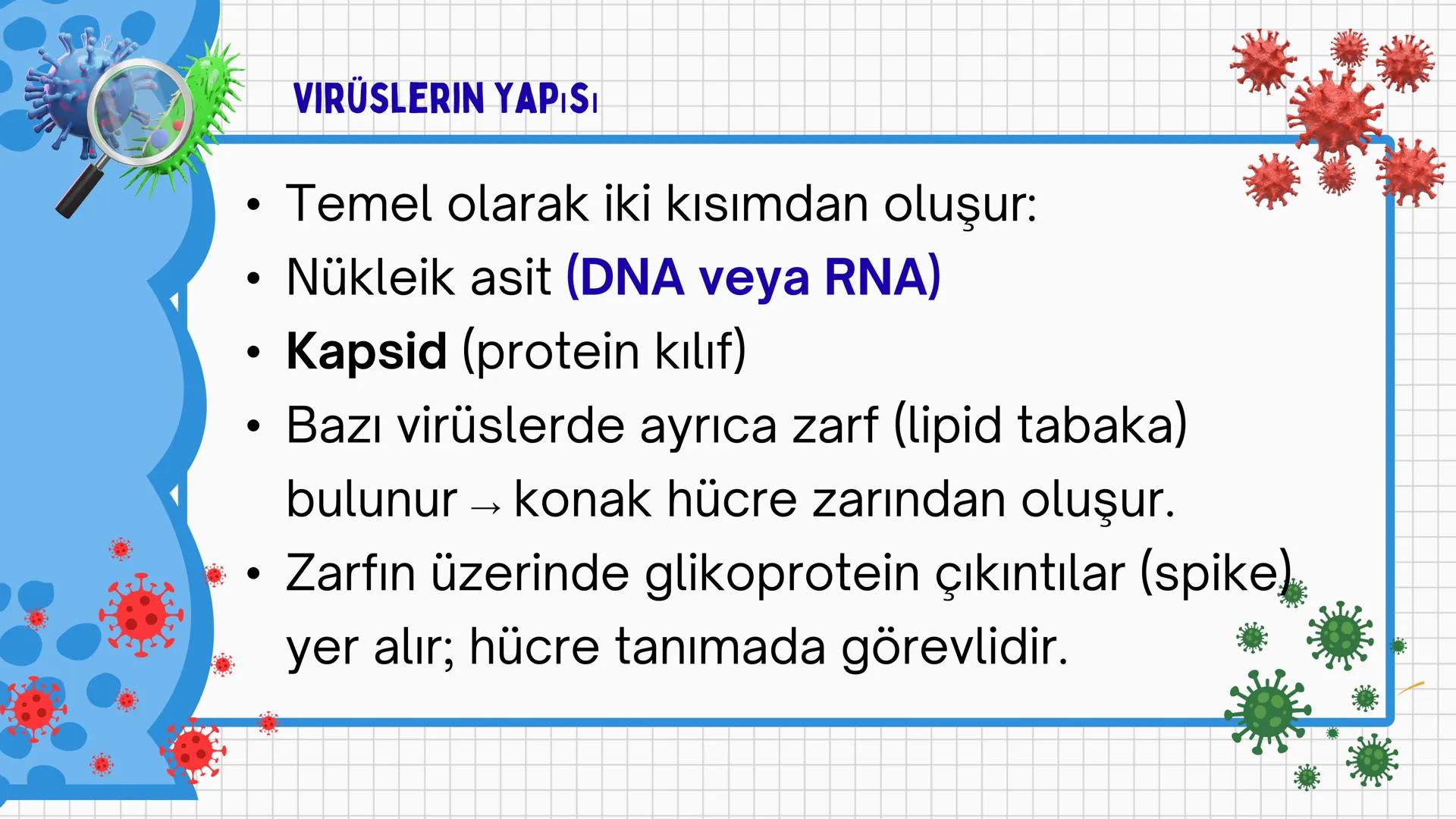 # VİRÜSLER # VIRÜSLER
+
* Latince "zehir" anlamına gelen virüslerin
canlı mı cansız mı olduğu tartışma
konusudur.
* Virüsler