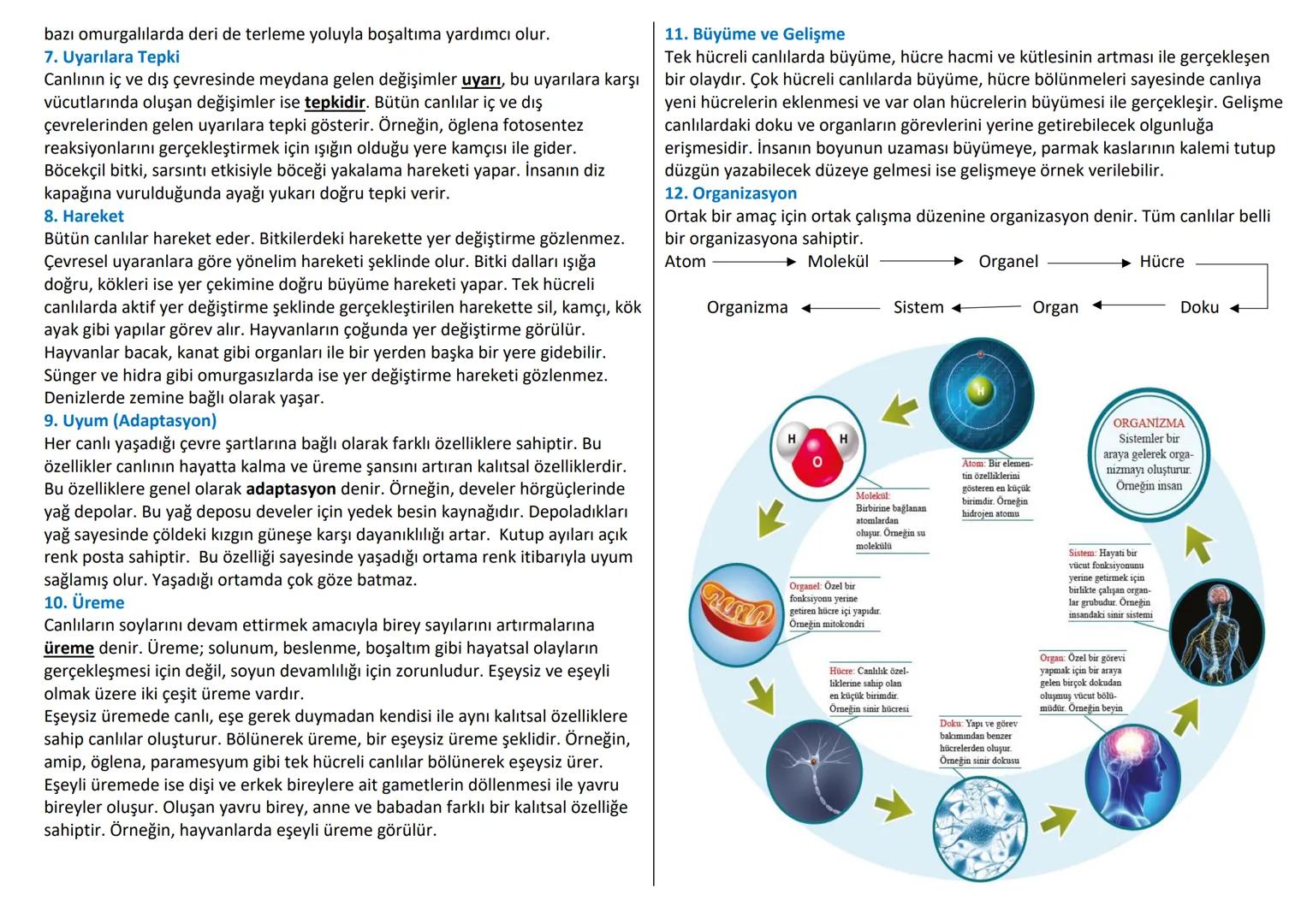 # CANLILARIN ORTAK ÖZELLİKLERİ
Yaşayan organizmaları cansız nesnelerden ayırt etmek için bazı özelliklere
bakılması yeterlidir. Bu özellikl
