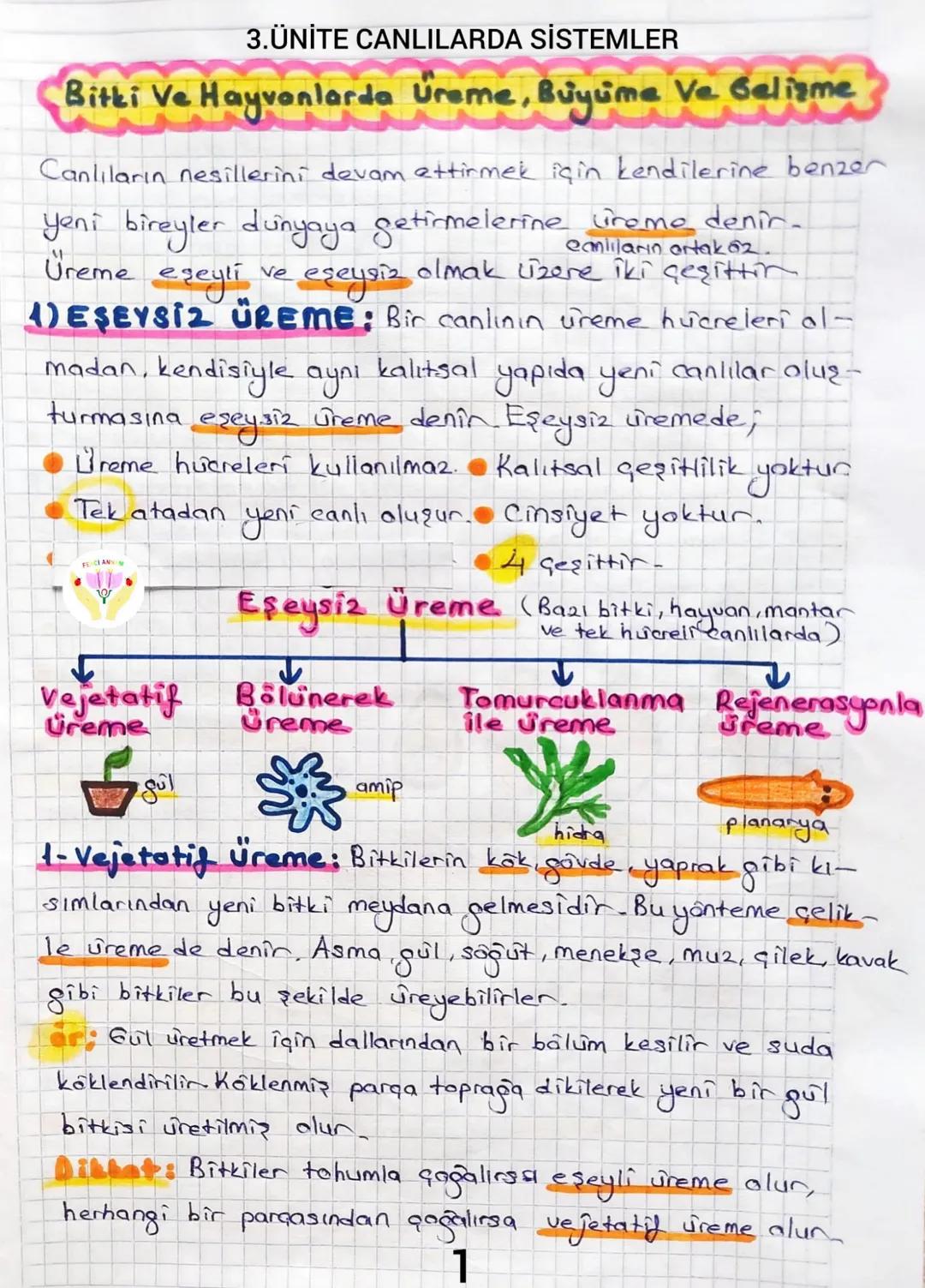 3.ÜNİTE CANLILARDA SİSTEMLER
Bitki Ve Hayvanlarda Üreme, Buyüme Ve Gelişme
Canlıların nesillerini devam ettirmek için kendilerine benzer
e