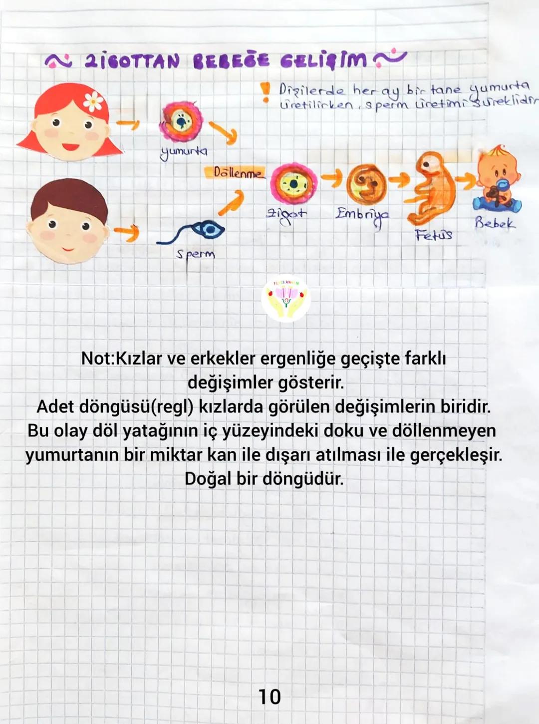 3.ÜNİTE CANLILARDA SİSTEMLER
Bitki Ve Hayvanlarda Üreme, Buyüme Ve Gelişme
Canlıların nesillerini devam ettirmek için kendilerine benzer
e