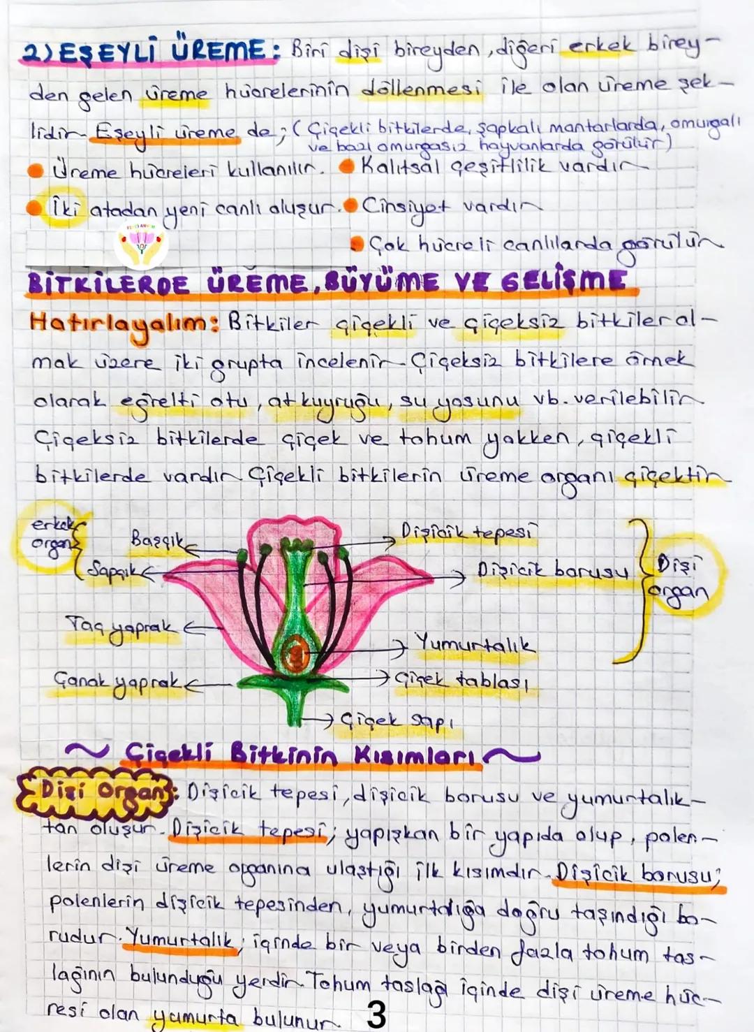 3.ÜNİTE CANLILARDA SİSTEMLER
Bitki Ve Hayvanlarda Üreme, Buyüme Ve Gelişme
Canlıların nesillerini devam ettirmek için kendilerine benzer
e