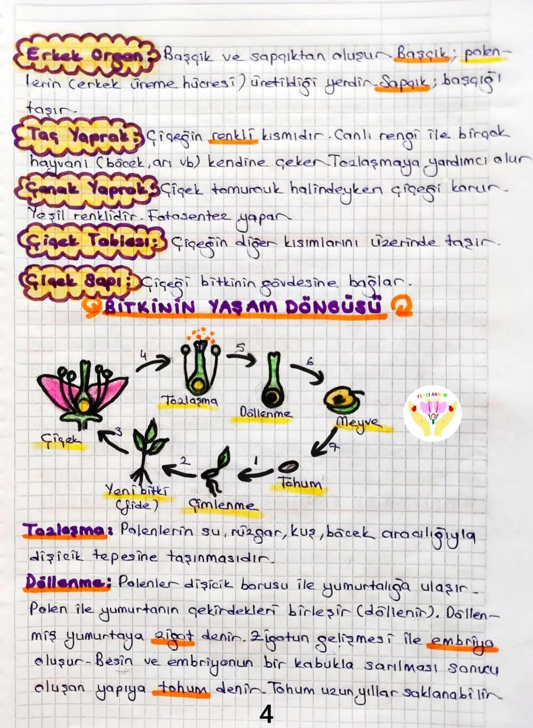 3.ÜNİTE CANLILARDA SİSTEMLER
Bitki Ve Hayvanlarda Üreme, Buyüme Ve Gelişme
Canlıların nesillerini devam ettirmek için kendilerine benzer
e