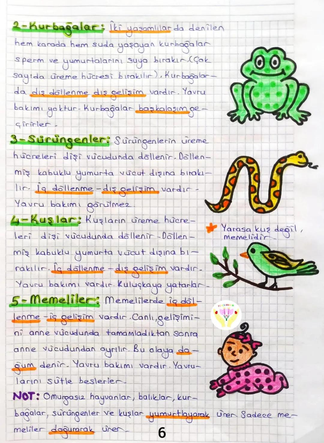 3.ÜNİTE CANLILARDA SİSTEMLER
Bitki Ve Hayvanlarda Üreme, Buyüme Ve Gelişme
Canlıların nesillerini devam ettirmek için kendilerine benzer
e