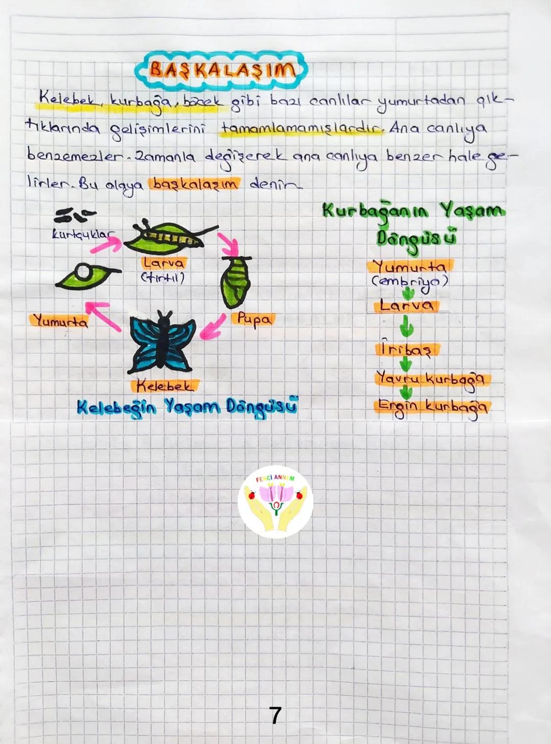 3.ÜNİTE CANLILARDA SİSTEMLER
Bitki Ve Hayvanlarda Üreme, Buyüme Ve Gelişme
Canlıların nesillerini devam ettirmek için kendilerine benzer
e