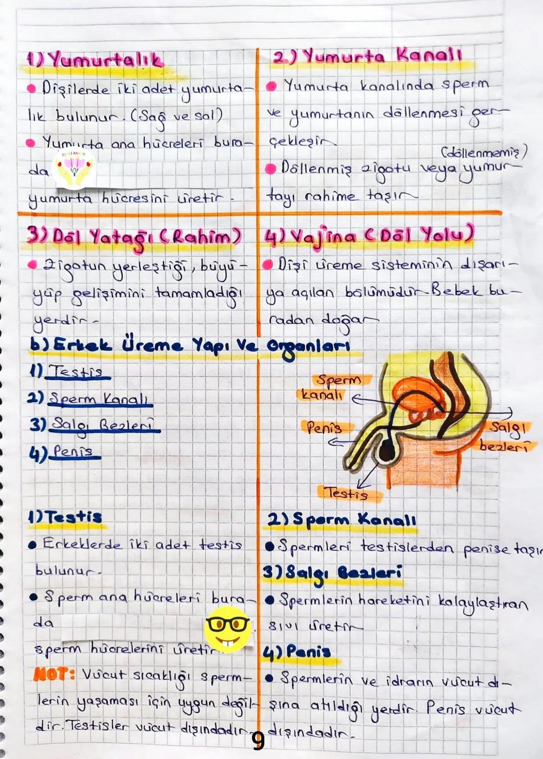3.ÜNİTE CANLILARDA SİSTEMLER
Bitki Ve Hayvanlarda Üreme, Buyüme Ve Gelişme
Canlıların nesillerini devam ettirmek için kendilerine benzer
e