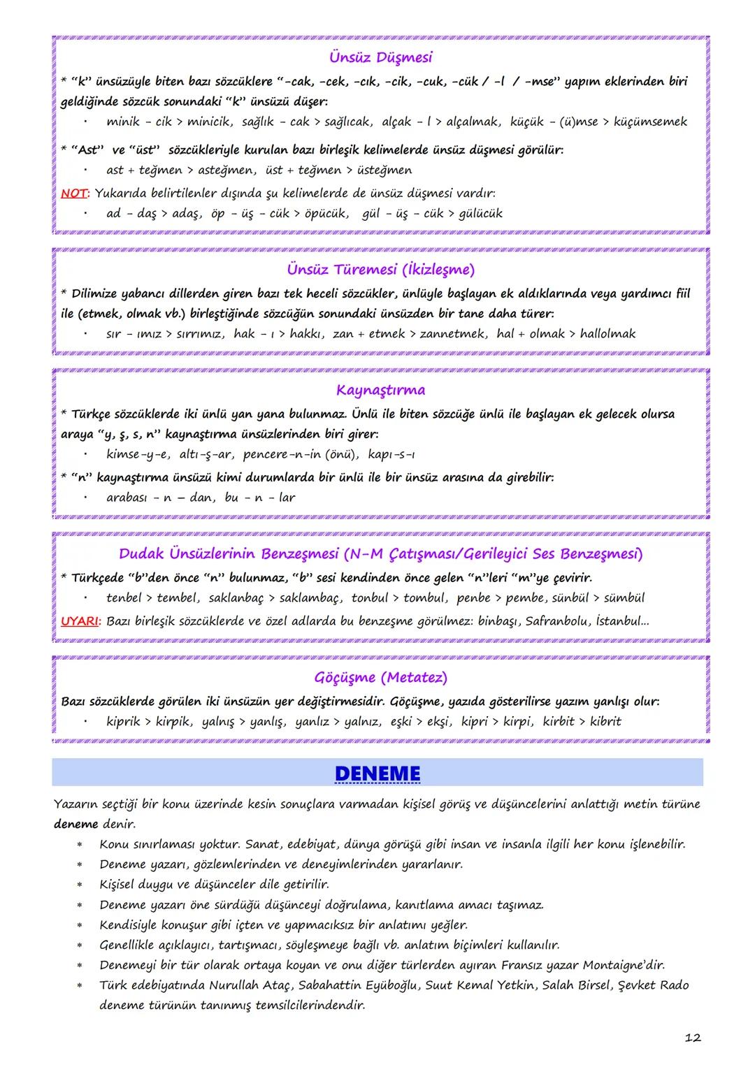 9. SINIF
TÜRK DİLİ
VE EDEBİYATI
DERS NOTLARI
1 Gerçeklik
sürükleyicilik
I. TEMA: SÖZÜN İNCELİĞİ
süz varlığı
günlük dit
sembal
Sözün İnceliğ