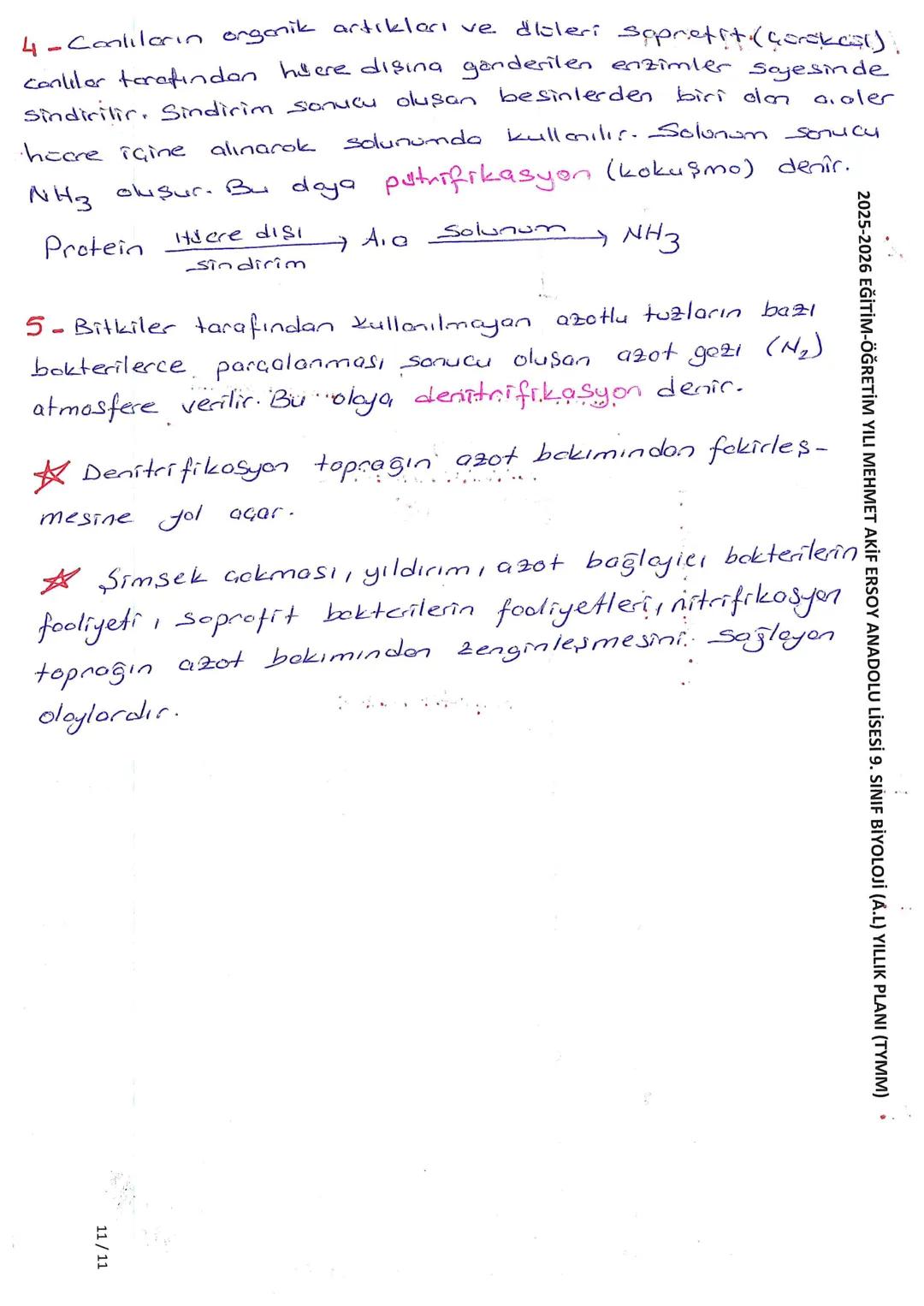 AZOT DÖNGUSU
N,
2
5
DENTTRIFIKAS YO
Olsi Solunum
②
Simsek
Yıldırım
Azot boğlayıcı
bakteriler
Nitrit bokterisi
Nitret bakterisi
NH
3
NO₂