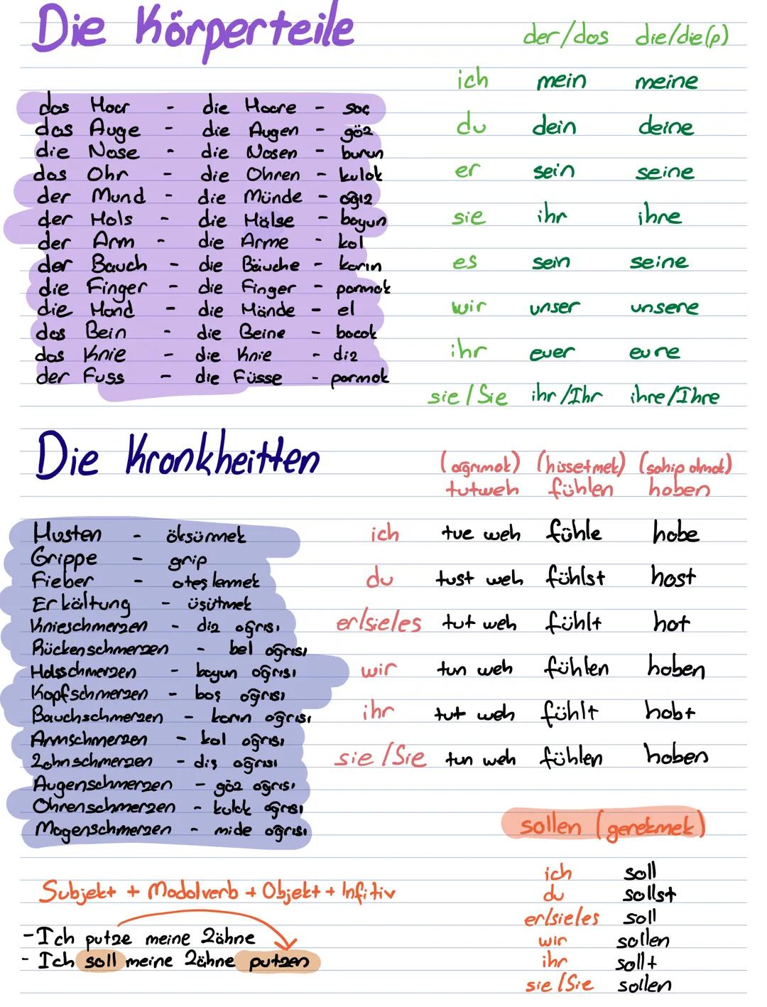 # Die Körperteile
der/dos die/die(p)
dos Hoor - die Hoore - Soc
das Auge - die Augen - göz
die Nose - die Nosen - burun
dos Ohr - die Ohre