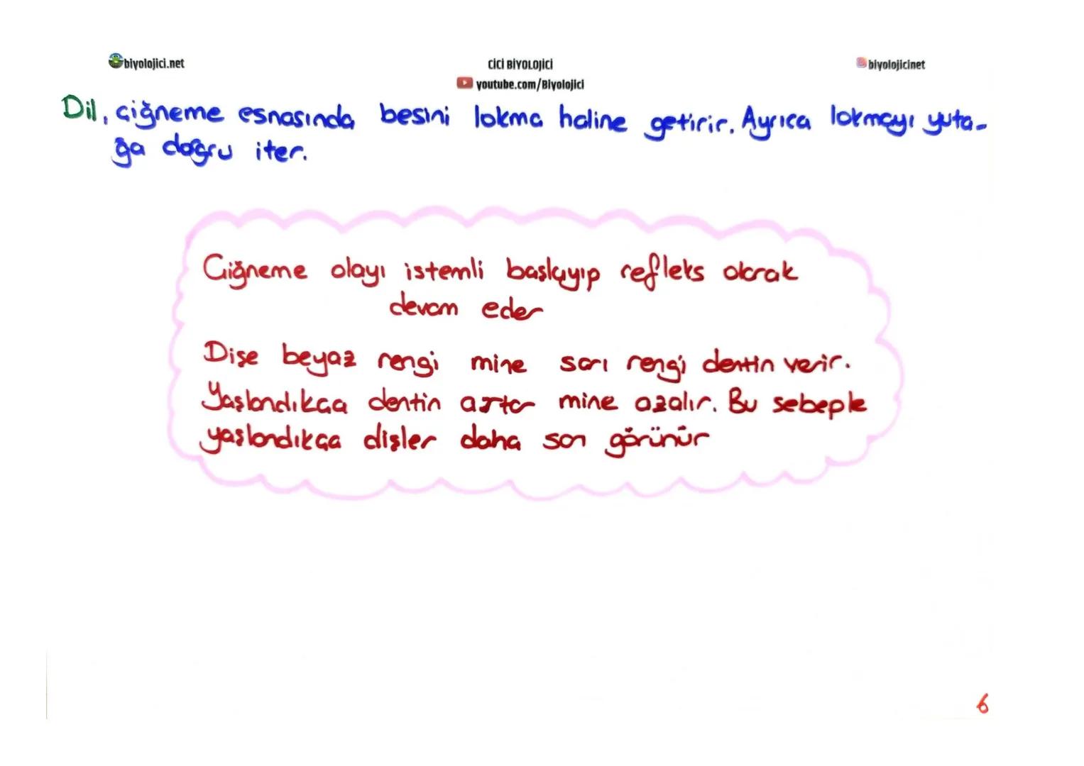 biyolojici.net
CİCİ BİYOLOJİCİ
youtube.com/Biyolojici
# SINDİRİM SİSTEMİ
biyolojicinet
* Büyük moleküllü besinlerin hücre zarından geç