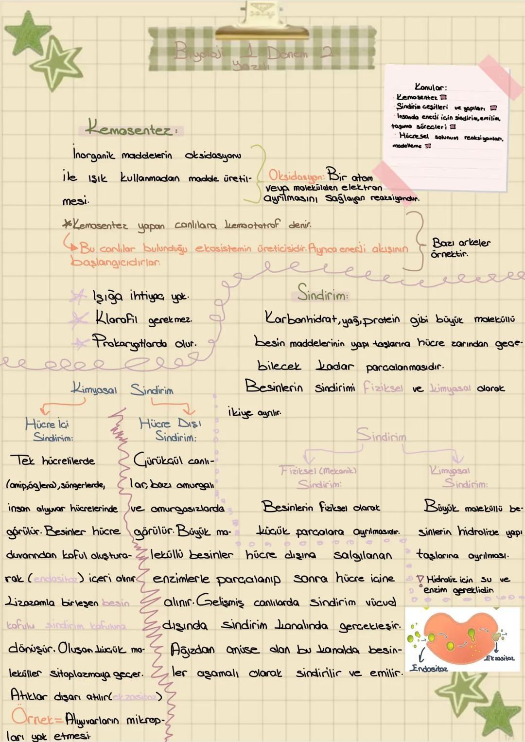 Kemasentez:
Inorganik maddelerin oksidasyonu
ile ışık kullanmadan madde üretil-
mesi.
Oksidasyon: Bir atom
Konular:
Kemosentez
Sindirim ceşi