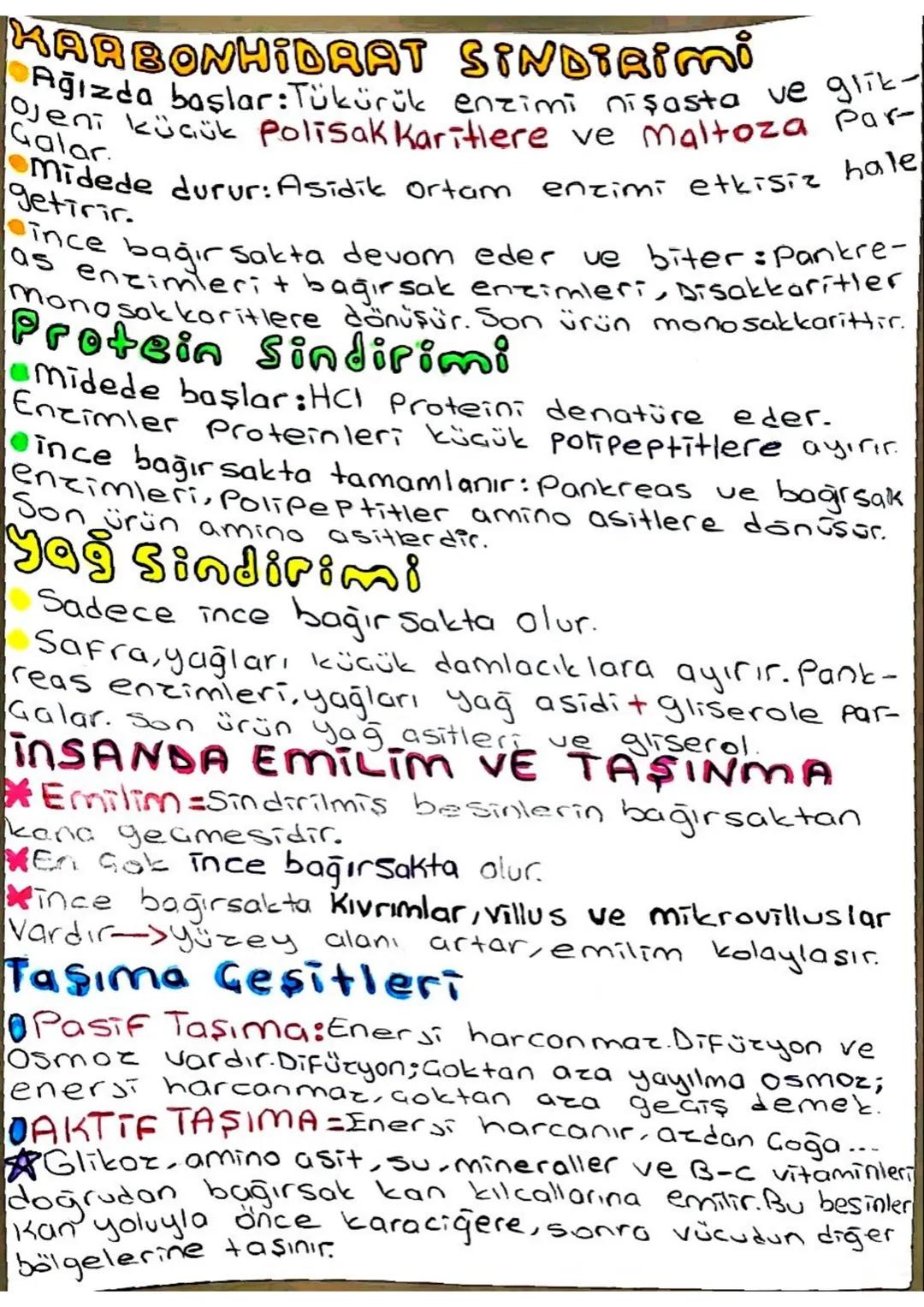 # BİYOLOJİ ÇALIŞMA KAĞIDI
KEMOSENTEZ
Bazı Canlıların ışık kullanmadan, inorganik madd-
elerin oksidas y onu ile açığa çıkan enerjiyi kull