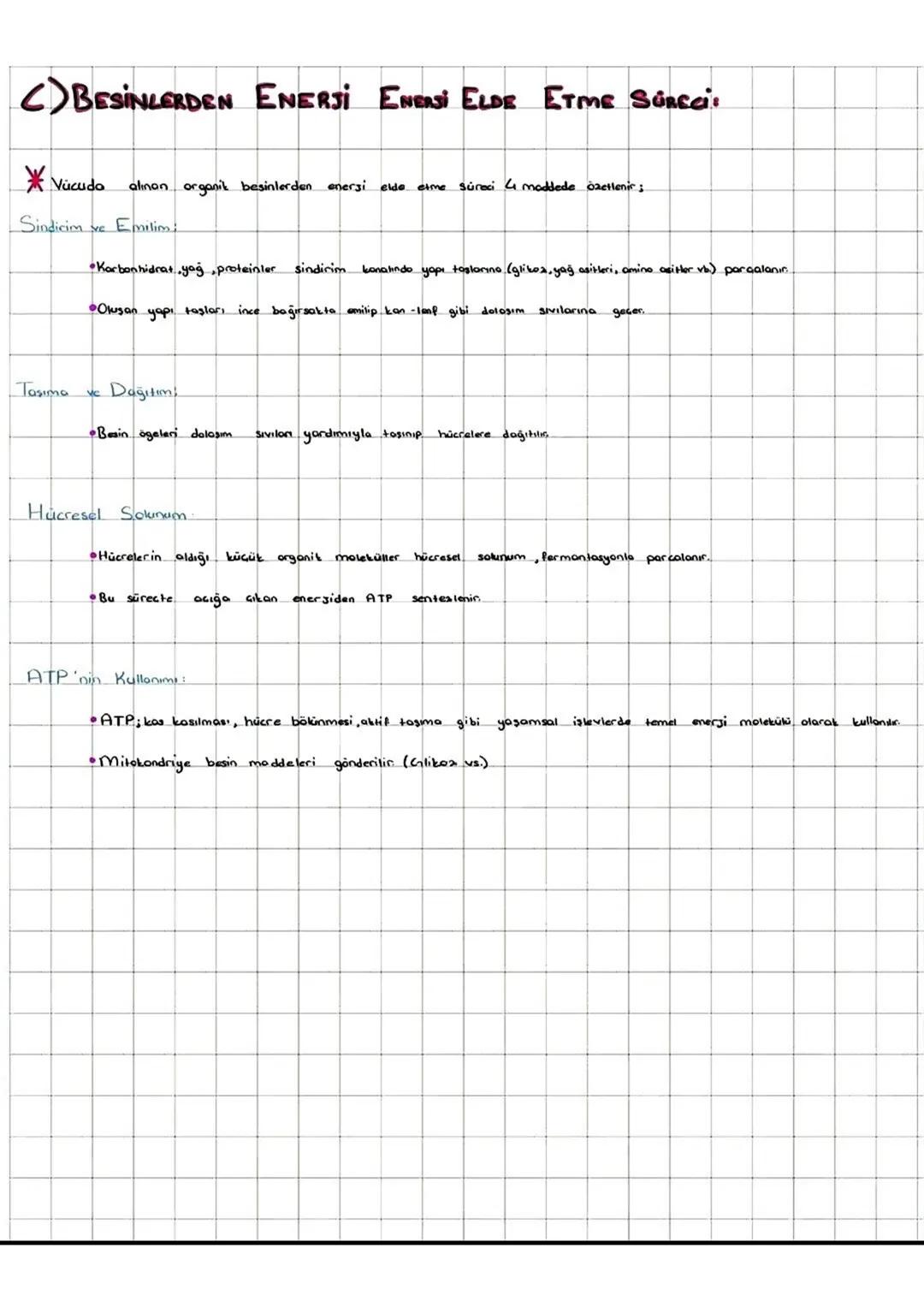 I-FOTOSENTER: Inorganik
maddelerden ışık enerjisi ve klorofil pigmenti yardımıylo
organik madde üretimine denir
*Fotosentez yaparak beslenen