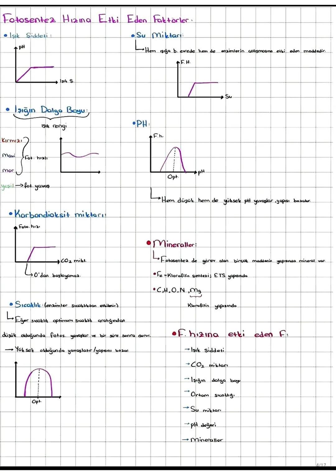 I-FOTOSENTER: Inorganik
maddelerden ışık enerjisi ve klorofil pigmenti yardımıylo
organik madde üretimine denir
*Fotosentez yaparak beslenen