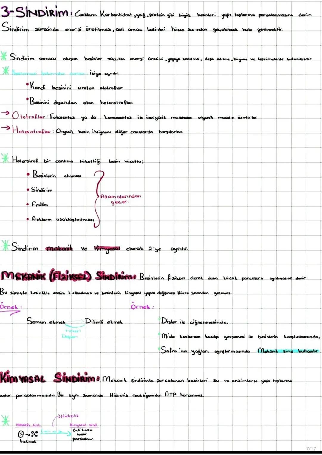 I-FOTOSENTER: Inorganik
maddelerden ışık enerjisi ve klorofil pigmenti yardımıylo
organik madde üretimine denir
*Fotosentez yaparak beslenen