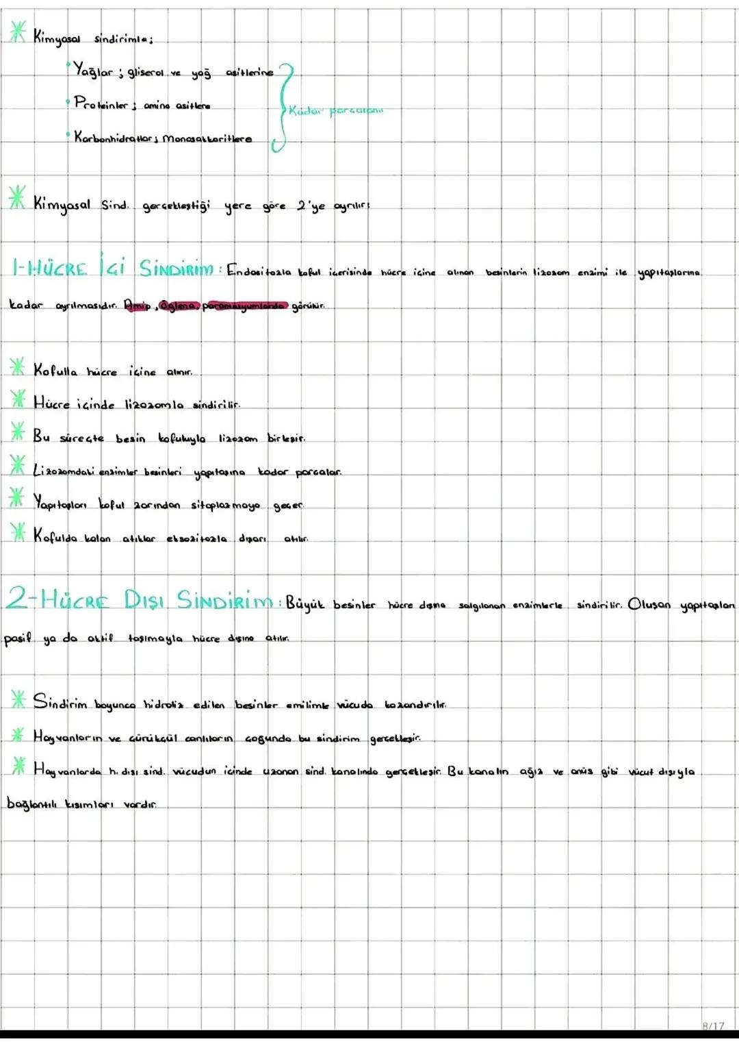 I-FOTOSENTER: Inorganik
maddelerden ışık enerjisi ve klorofil pigmenti yardımıylo
organik madde üretimine denir
*Fotosentez yaparak beslenen