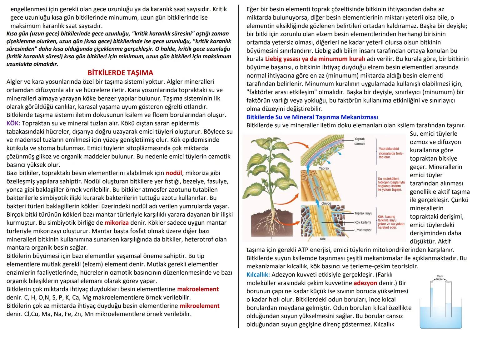 # BİTKİSEL DOKULAR
Organizmada belirli görevleri yapan özelleşmiş hücre topluluklarına doku denir.
Doku hücreleri birbirine bitişik halde y