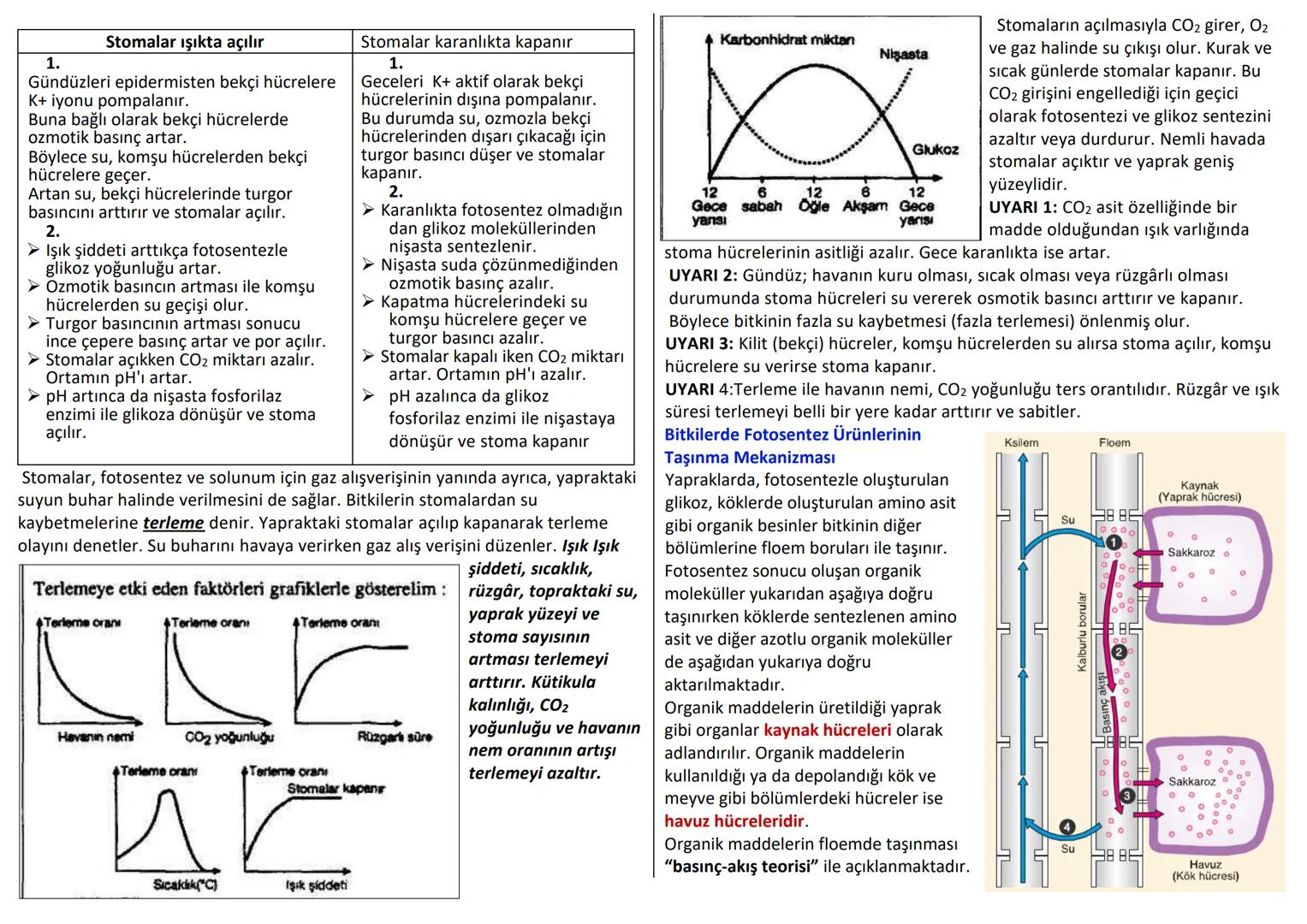 # BİTKİSEL DOKULAR
Organizmada belirli görevleri yapan özelleşmiş hücre topluluklarına doku denir.
Doku hücreleri birbirine bitişik halde y