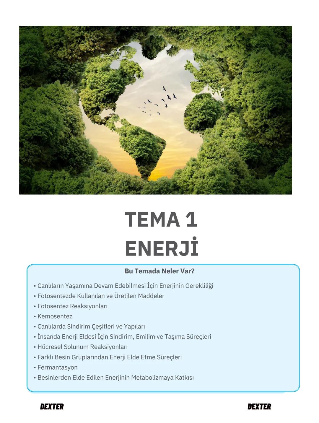 # TEMA 1
# ENERJİ
Bu Temada Neler Var?
* Canlıların Yaşamına Devam Edebilmesi İçin Enerjinin Gerekliliği
* Fotosentezde Kullanılan ve