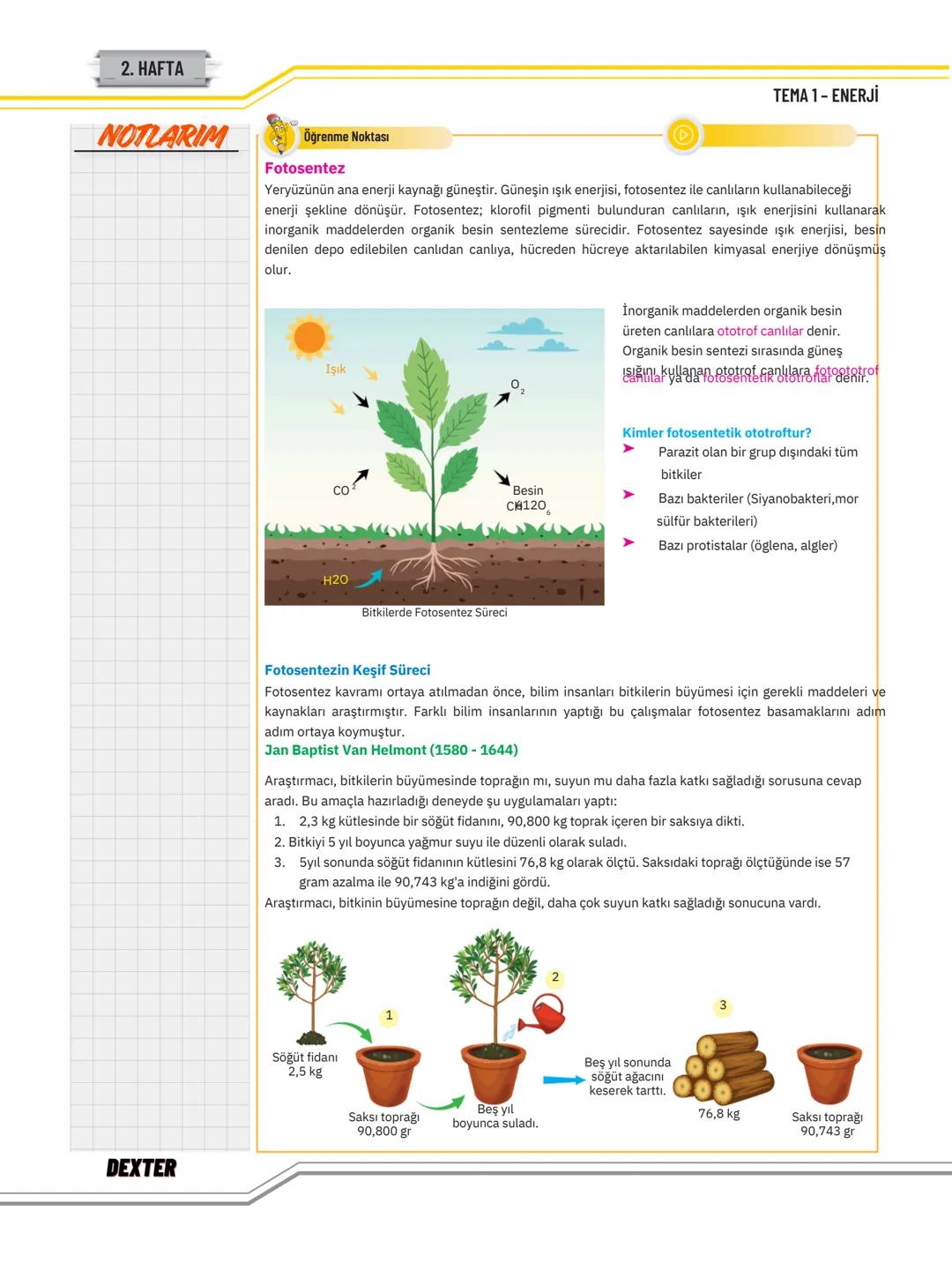 # TEMA 1
# ENERJİ
Bu Temada Neler Var?
* Canlıların Yaşamına Devam Edebilmesi İçin Enerjinin Gerekliliği
* Fotosentezde Kullanılan ve