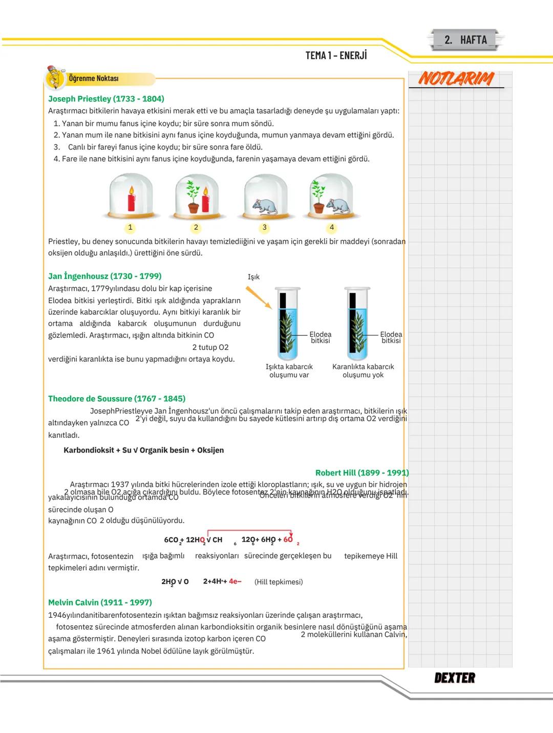 # TEMA 1
# ENERJİ
Bu Temada Neler Var?
* Canlıların Yaşamına Devam Edebilmesi İçin Enerjinin Gerekliliği
* Fotosentezde Kullanılan ve