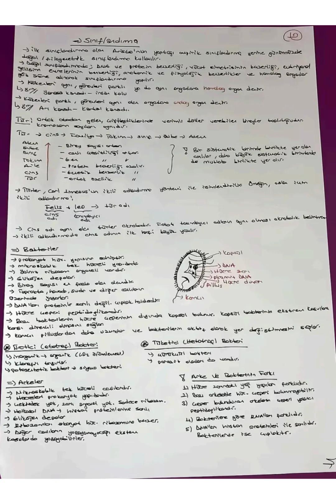 # TVT Biyoloji
Canlıların Ortak Öz.
1) Hucresel Yapı
→Prokenget
Y Skeryet
2) Organizasyon - Hajore-doku-organ-sister- organizma
3) Solun