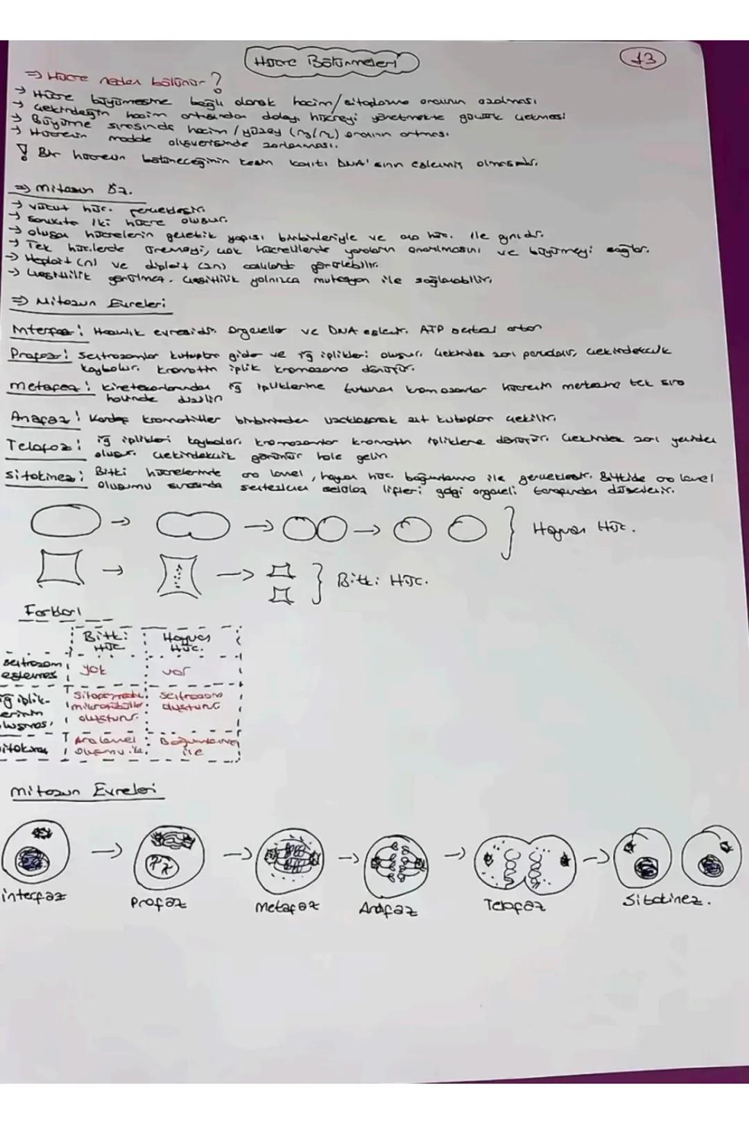 # TVT Biyoloji
Canlıların Ortak Öz.
1) Hucresel Yapı
→Prokenget
Y Skeryet
2) Organizasyon - Hajore-doku-organ-sister- organizma
3) Solun