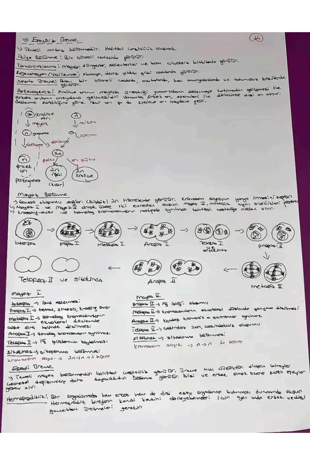 # TVT Biyoloji
Canlıların Ortak Öz.
1) Hucresel Yapı
→Prokenget
Y Skeryet
2) Organizasyon - Hajore-doku-organ-sister- organizma
3) Solun