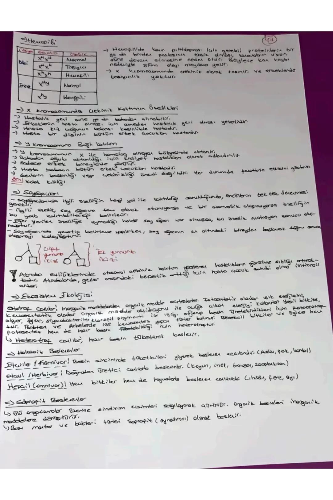 # TVT Biyoloji
Canlıların Ortak Öz.
1) Hucresel Yapı
→Prokenget
Y Skeryet
2) Organizasyon - Hajore-doku-organ-sister- organizma
3) Solun