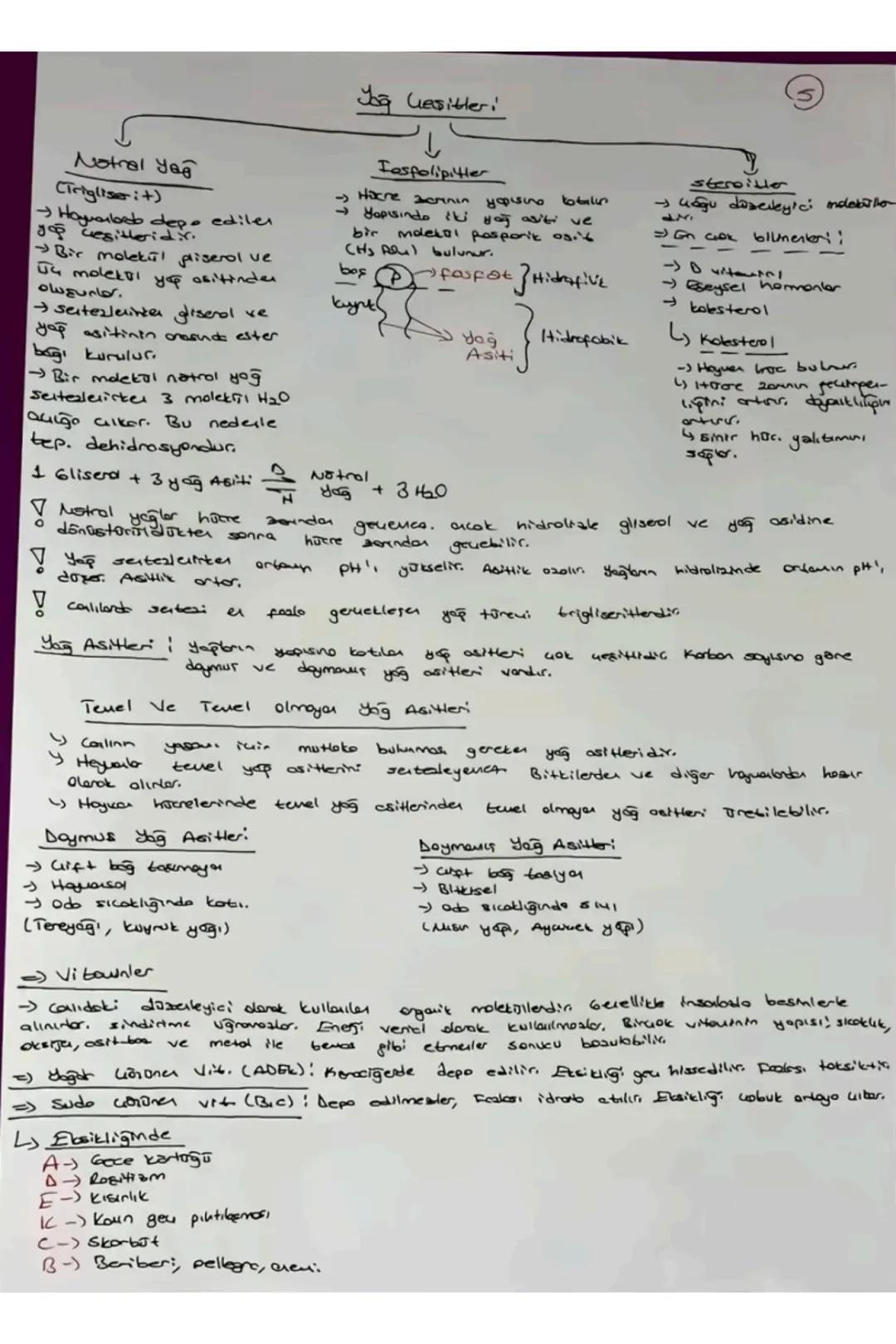 # TVT Biyoloji
Canlıların Ortak Öz.
1) Hucresel Yapı
→Prokenget
Y Skeryet
2) Organizasyon - Hajore-doku-organ-sister- organizma
3) Solun