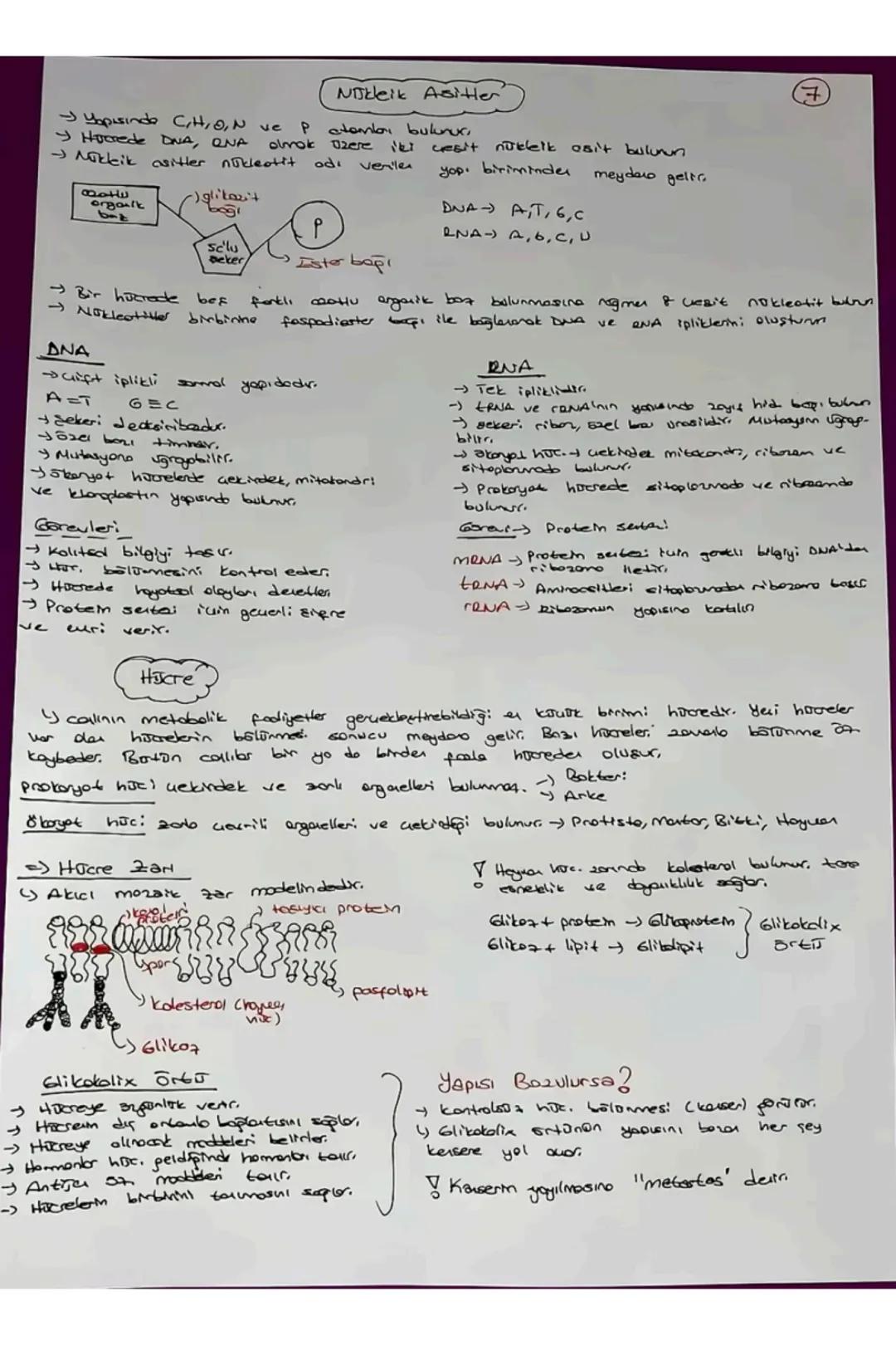 # TVT Biyoloji
Canlıların Ortak Öz.
1) Hucresel Yapı
→Prokenget
Y Skeryet
2) Organizasyon - Hajore-doku-organ-sister- organizma
3) Solun