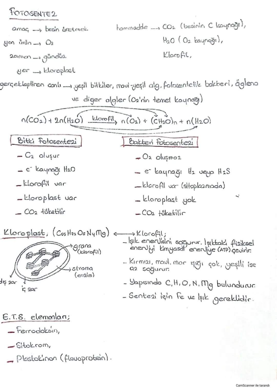 # FOTOSENTEZ
- amaç --> besin üretmek
- yan ürün --> $O_2$
- zamon --> gündüz
- yer --> kloroplast
- haminadde --> $CO_2$ (besinin C kaynağı