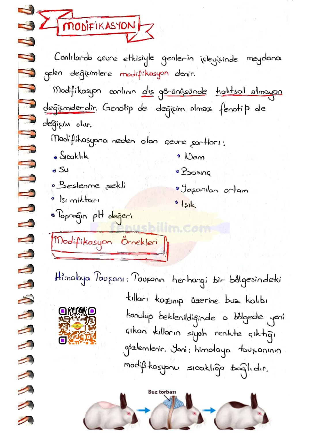 # MUTASYON
DNA'nın kendini eşlemesi sırasında oluşan hatalı
eşleşmeler ya da eşlenmeme gibi durumlarda genlerde
değişmeler meydono gelir.
DN