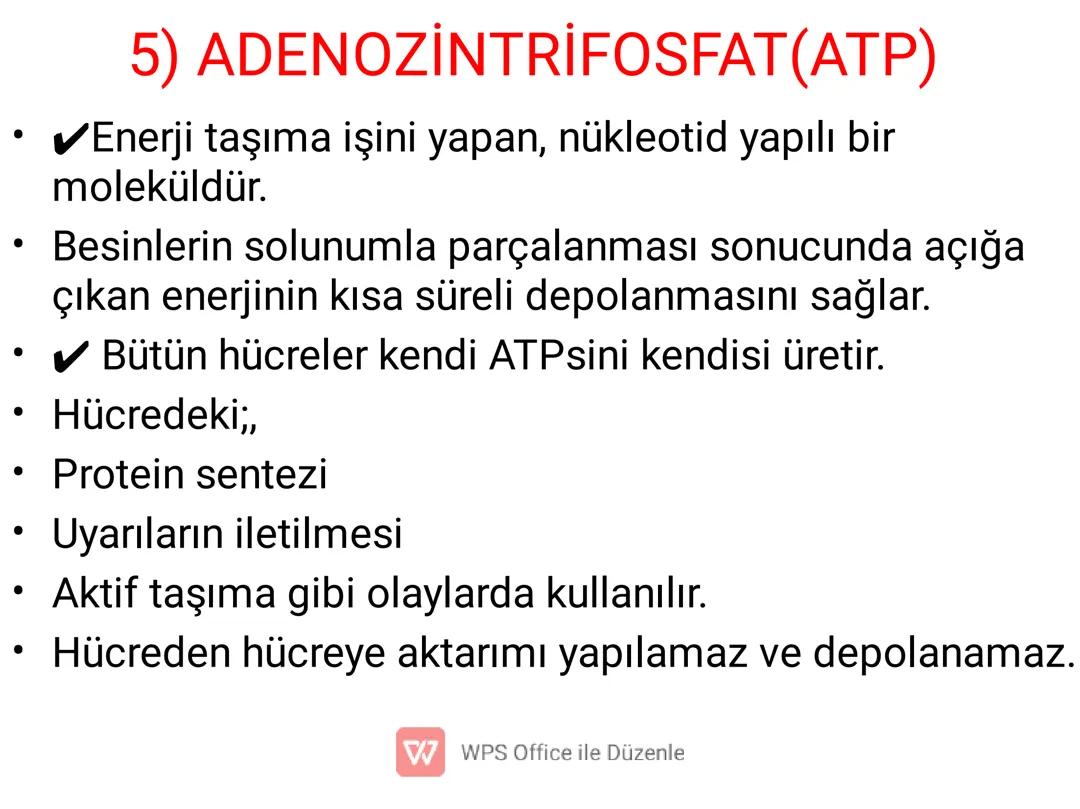 ATP Nedir ve Nerede Nasıl Yapılır?