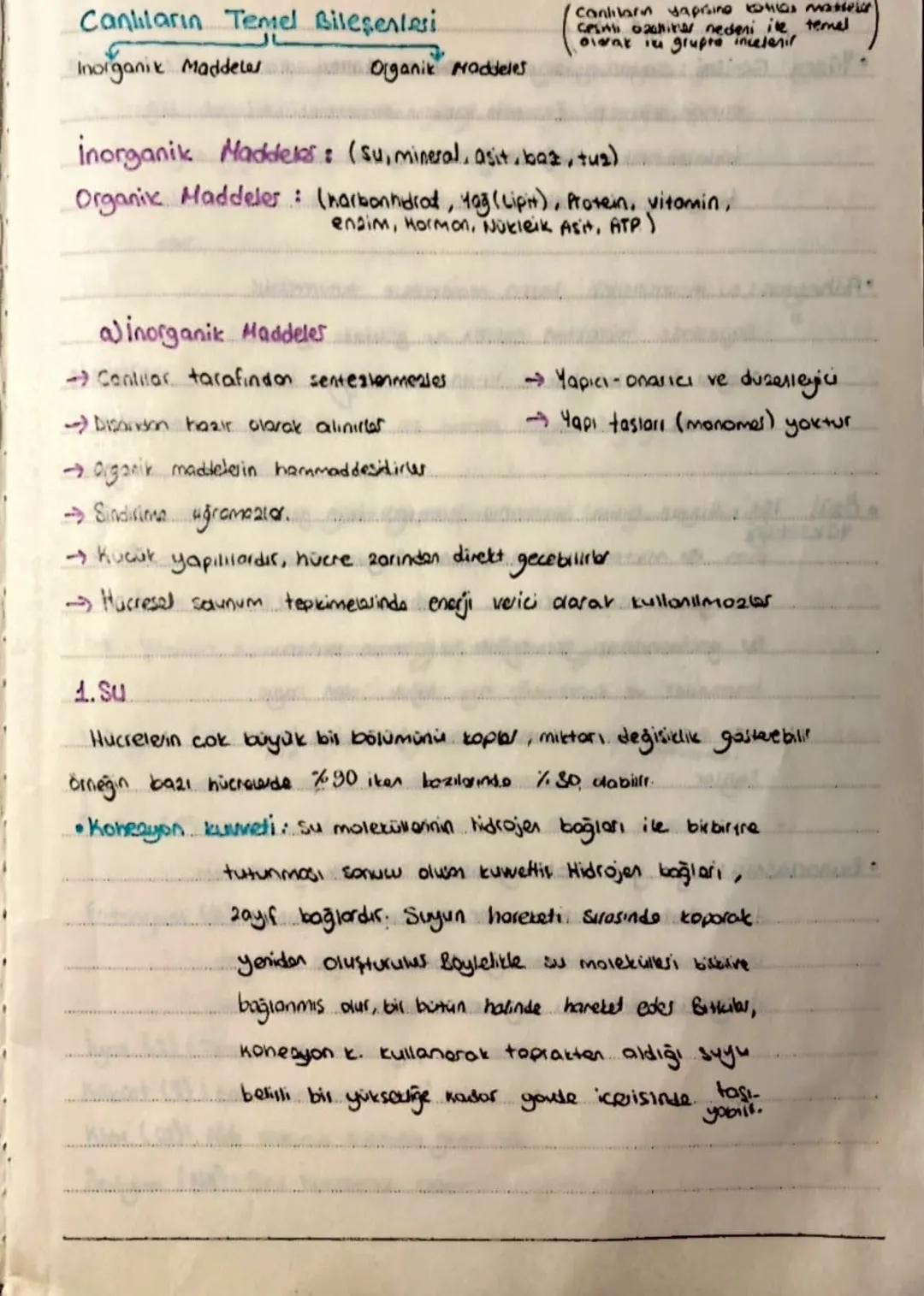 Canlıların Temel Bileşenleri