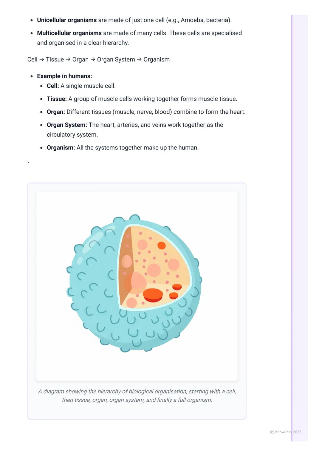 # Characteristics of Life
## What makes something alive?
Biology is the study of life, so the first thing we need to be clear on is what '
