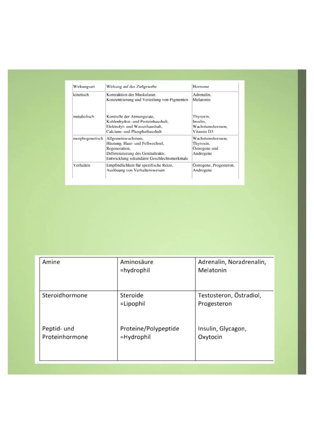 1.Hormone
1.1.Definition
-chemische Signal- und Botenstoffe
-übermitteln Informationen und
regeln wichtige Vorgänge
1.2.Klassifizierung
-U