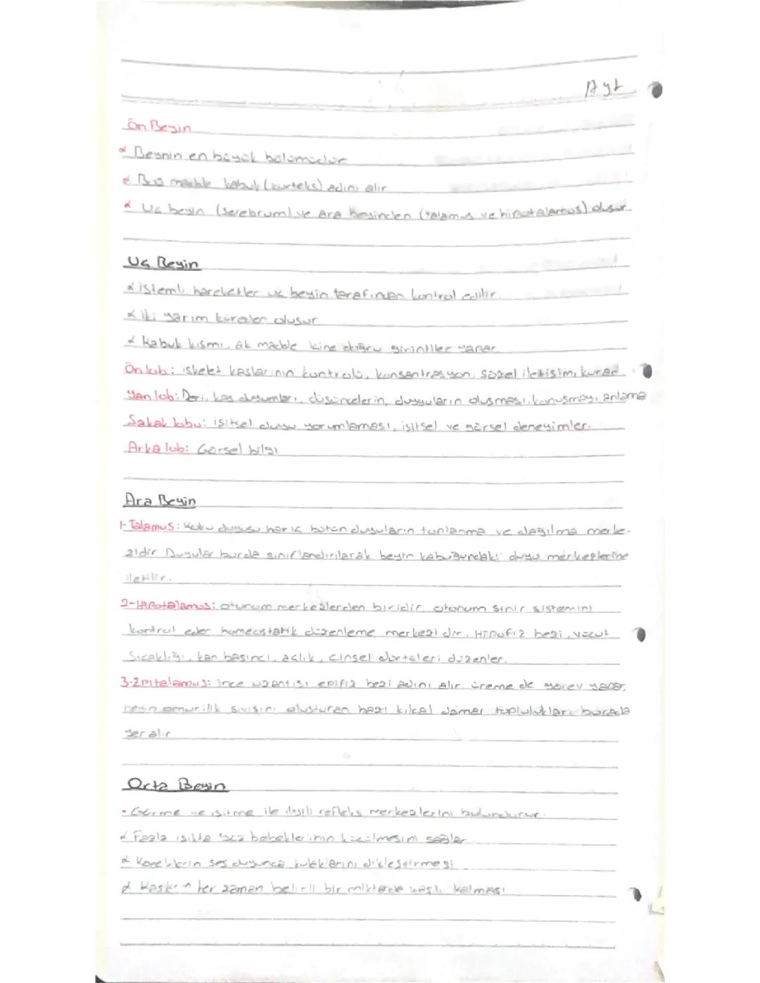 11.sinif bioloji beyin bolumleri