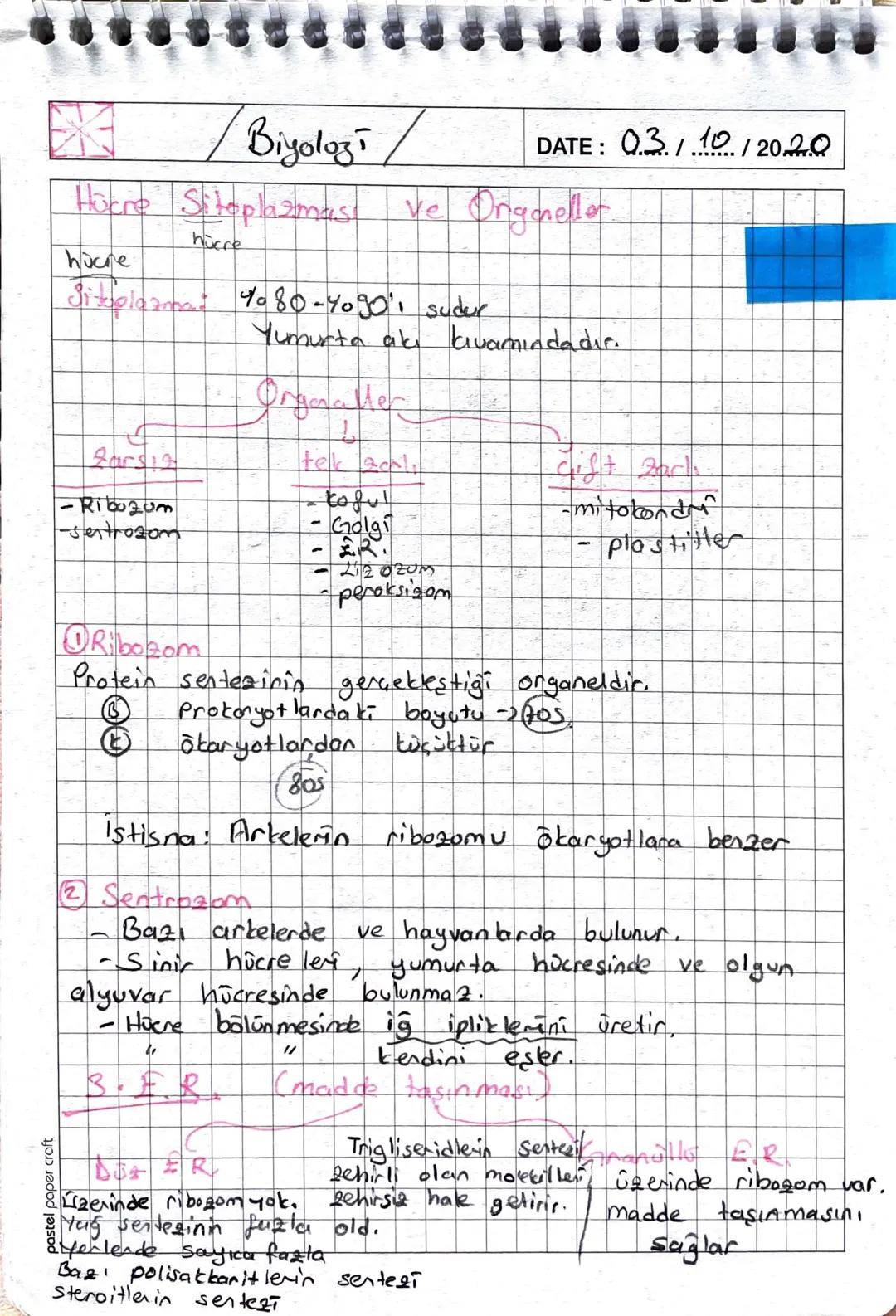 1. Ders
- Biyozosi -
DATE: 27/09/20..20
Höcre earının en önemi özelliği seçici - geçirgen
yapıda olmasıdır
Hücre zaının
<
yapısı
H
Karbonhid