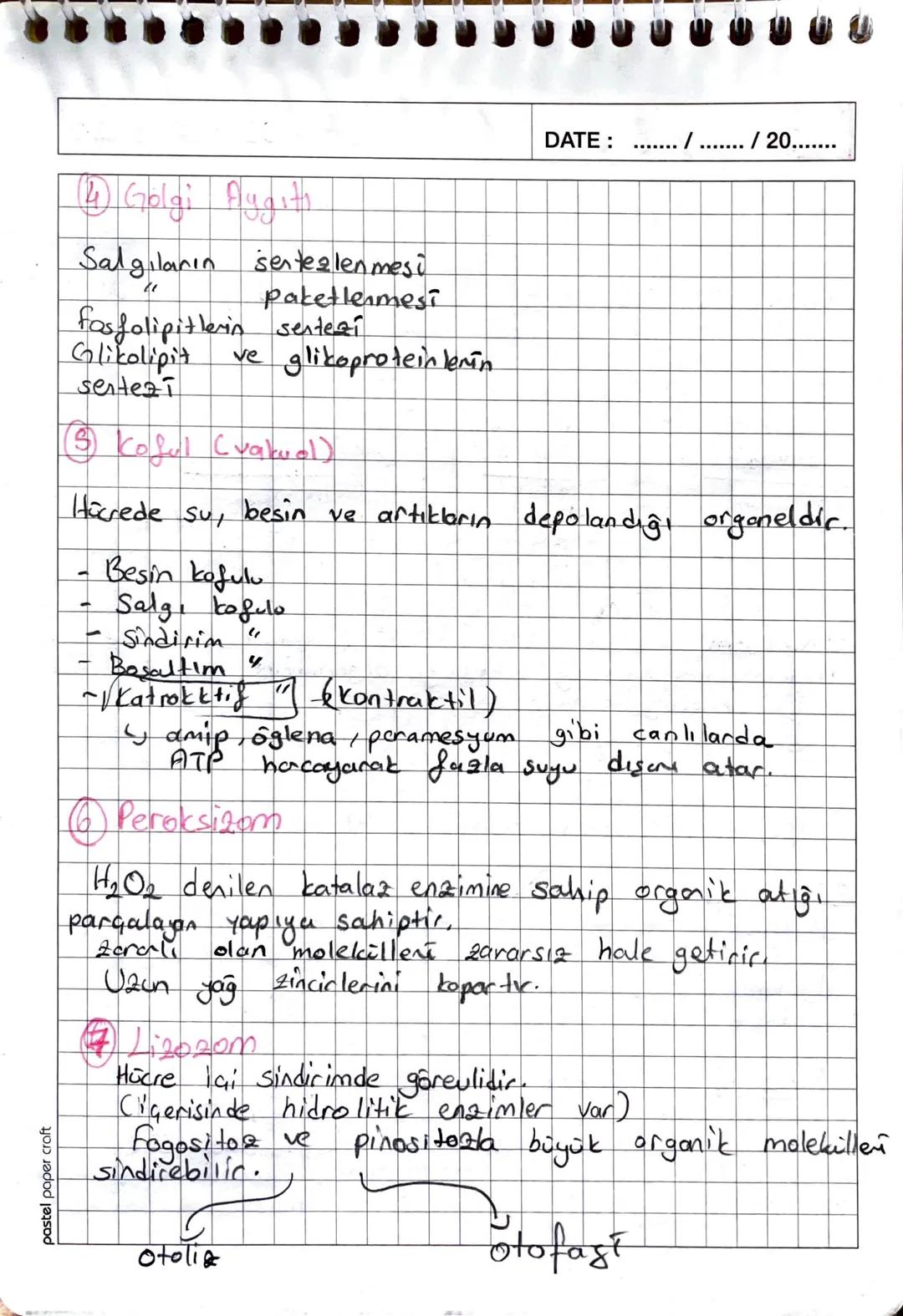1. Ders
- Biyozosi -
DATE: 27/09/20..20
Höcre earının en önemi özelliği seçici - geçirgen
yapıda olmasıdır
Hücre zaının
<
yapısı
H
Karbonhid