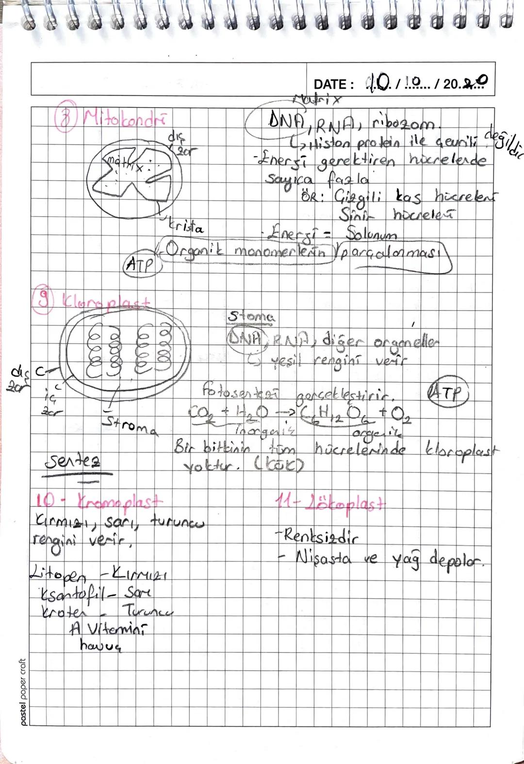1. Ders
- Biyozosi -
DATE: 27/09/20..20
Höcre earının en önemi özelliği seçici - geçirgen
yapıda olmasıdır
Hücre zaının
<
yapısı
H
Karbonhid