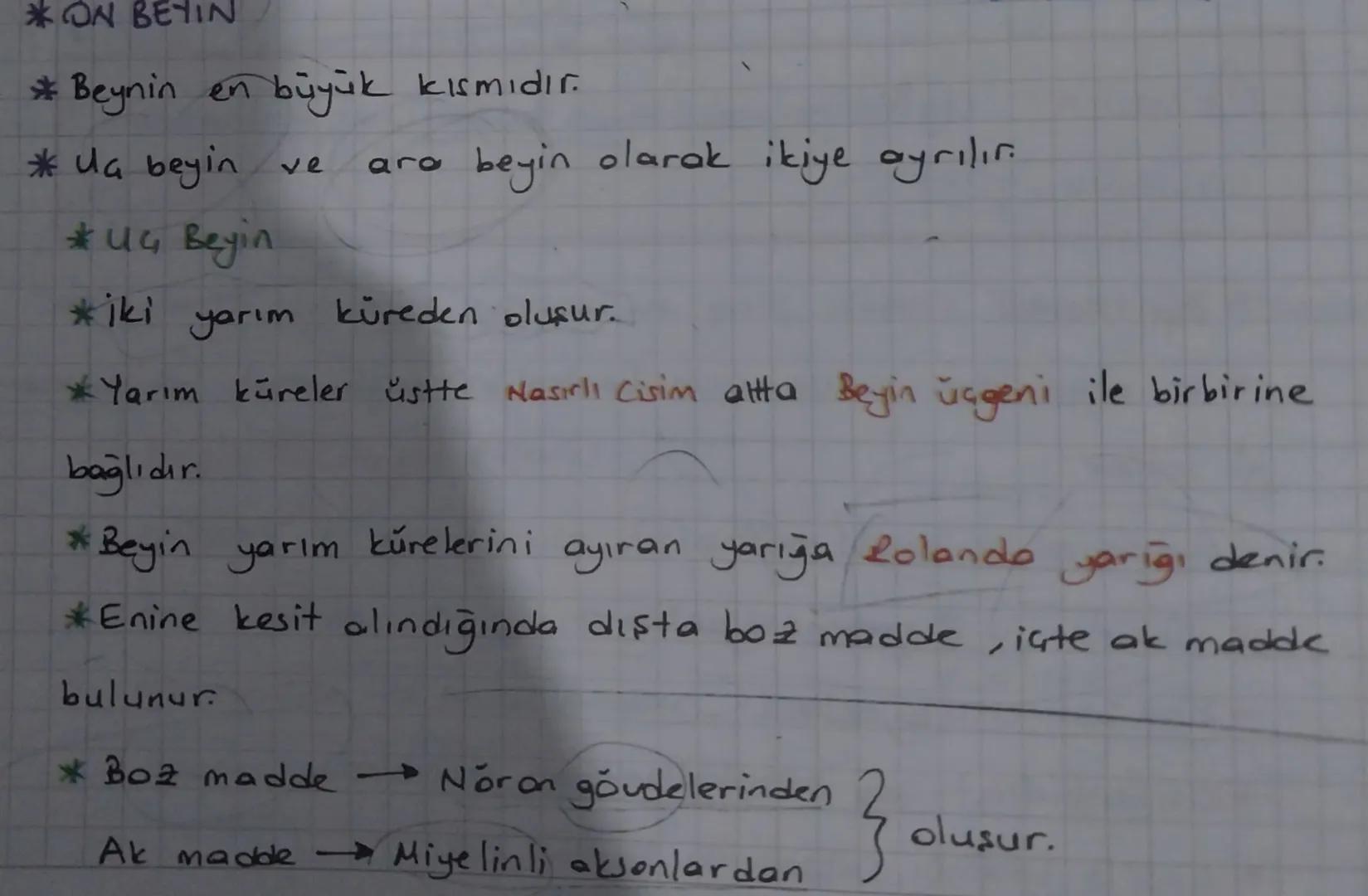 * insanda Sinir Sistemi
insanda sinir sistemi merkezi sinir sistemi ve çevresel sinir
sistemi olarak iki başlık altında incelenir.
Merkesi S