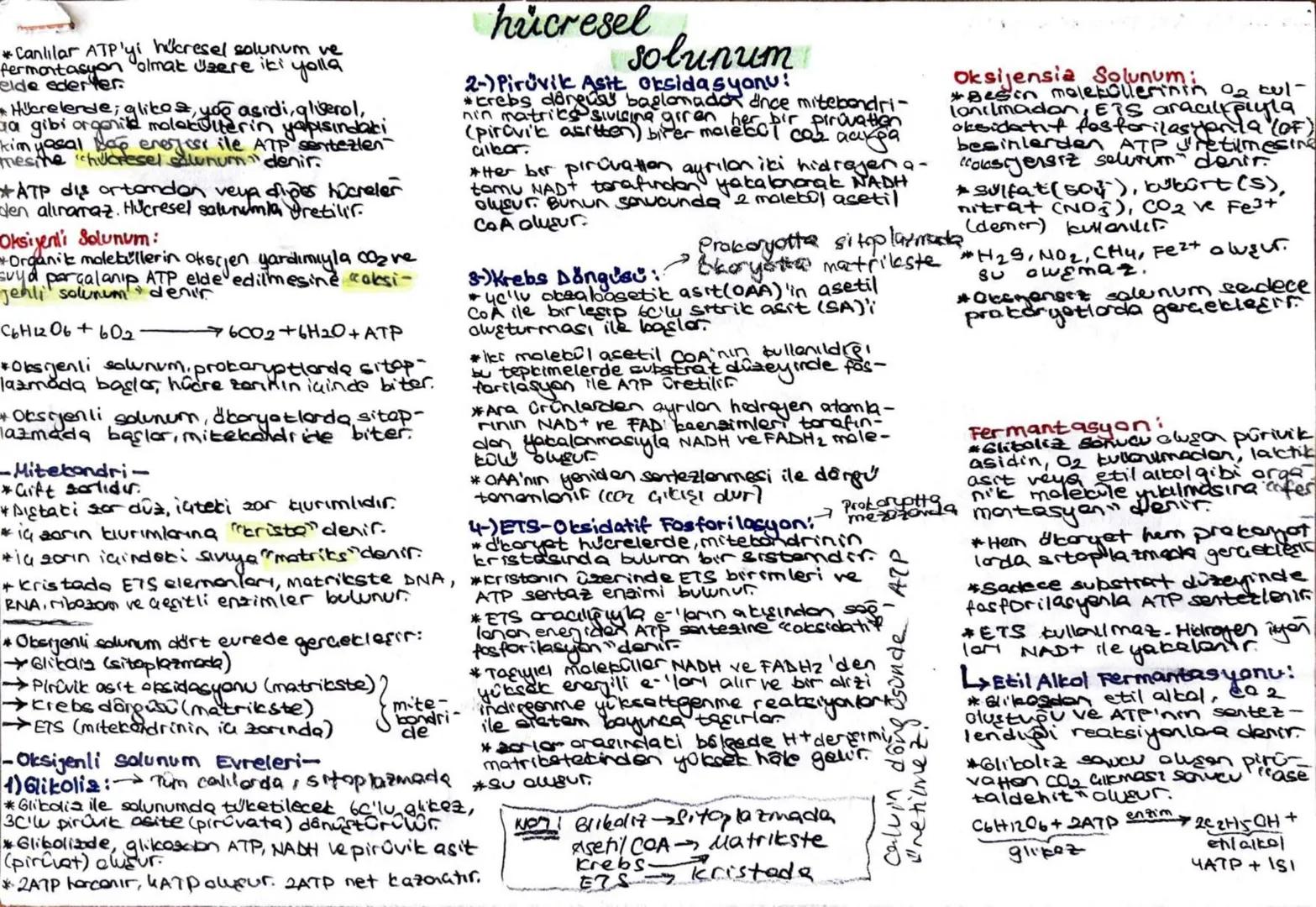*Canlılar ATP'yi hücresel solunum ve
fermentasyon olmak üzere iki yolla
elde ederler.
• Hücrelerde; glikoz, you asidi, gliserol,
a gibi orga