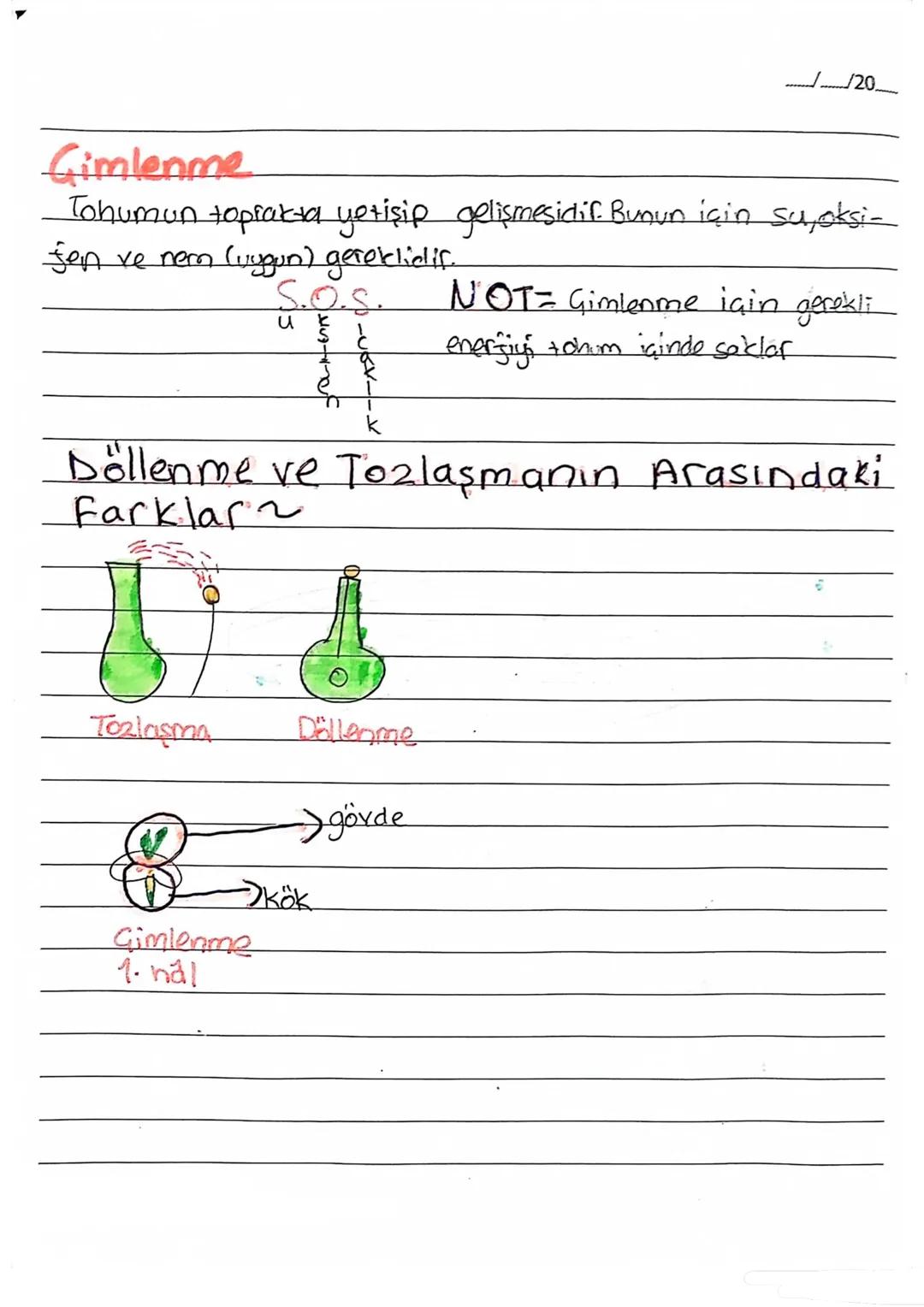 Fen B.
................./20.......
sapaik
Başçığı
Jaşır.
Basak
Polenler
oluşur
BİTKİLERDE ÜREME
-->Sap.
Tepecik
Polenter
girer
Arıların gelm