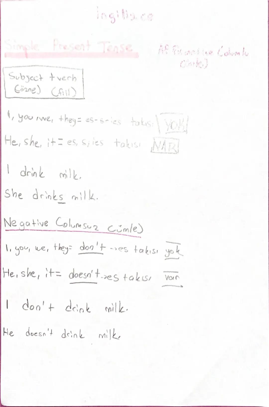 İngilizce simple present tense