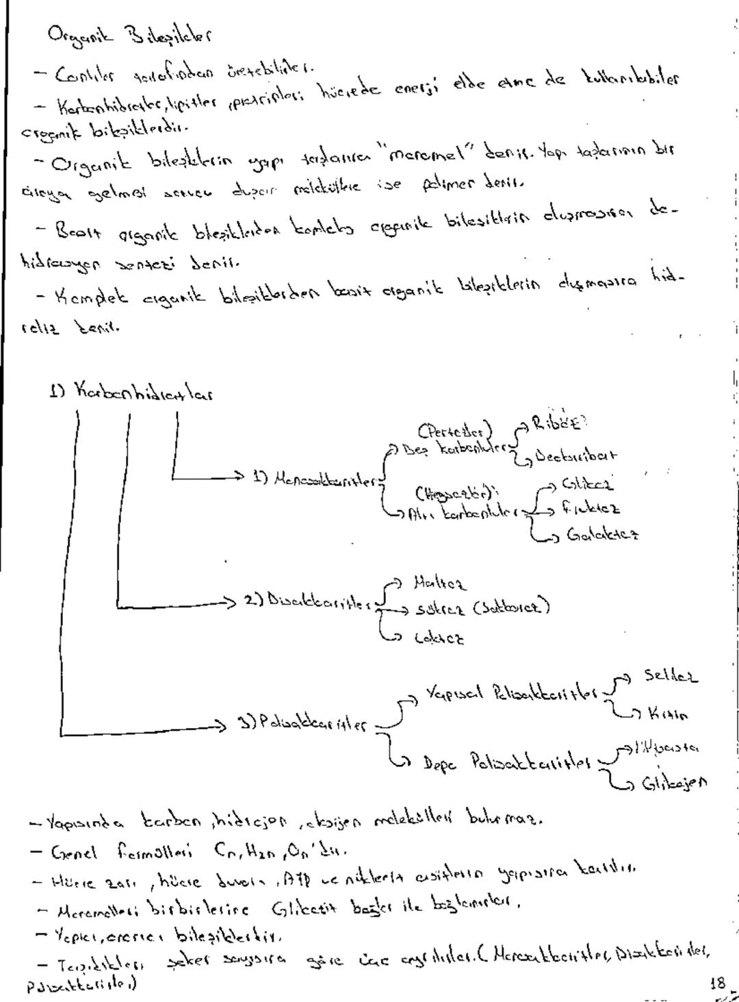 Biyalaji: Canlıların yapılarını ve
işlevlerini inceleyerek yaşımın dağasını anlaşılma.
いう
gardimai alen bilim dalıdır.
i
Bilimin Dağası
11