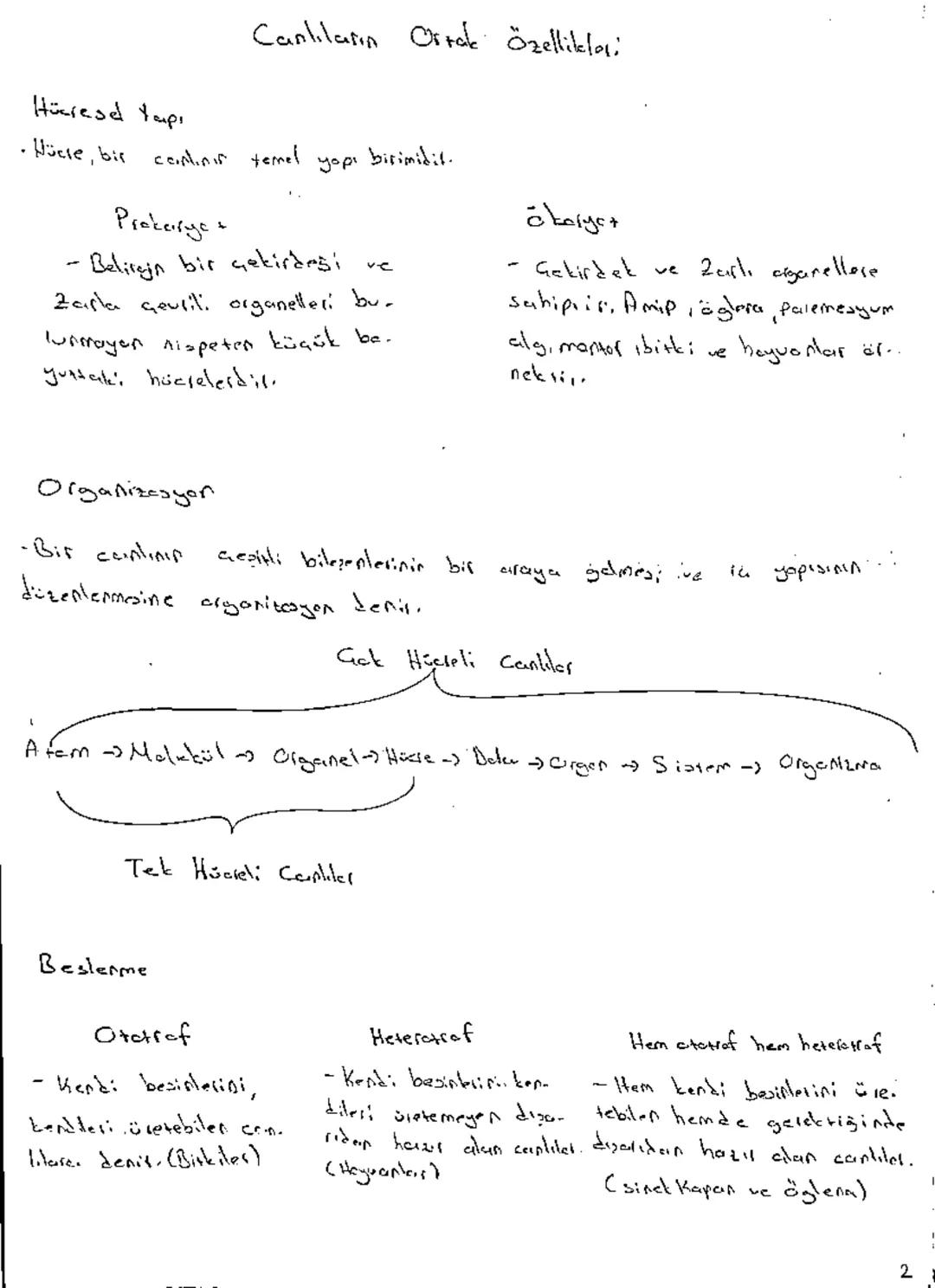 Biyalaji: Canlıların yapılarını ve
işlevlerini inceleyerek yaşımın dağasını anlaşılma.
いう
gardimai alen bilim dalıdır.
i
Bilimin Dağası
11