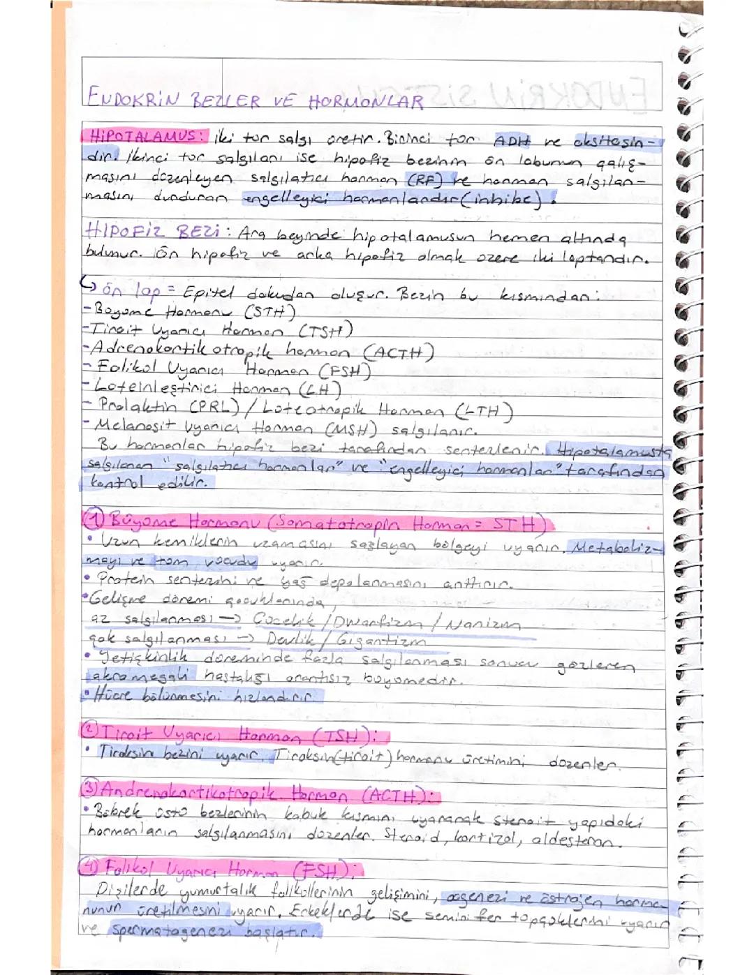 Endokrin bezler ve hormonlar